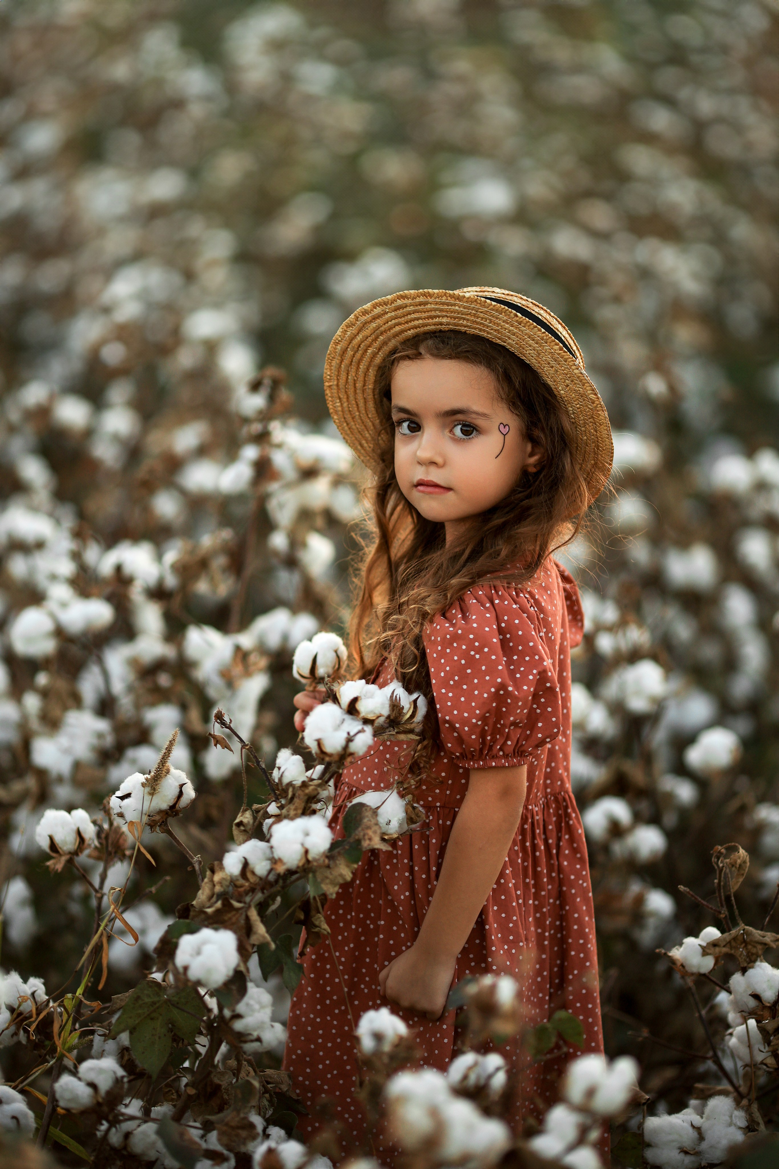 Photoshooting on cotton field