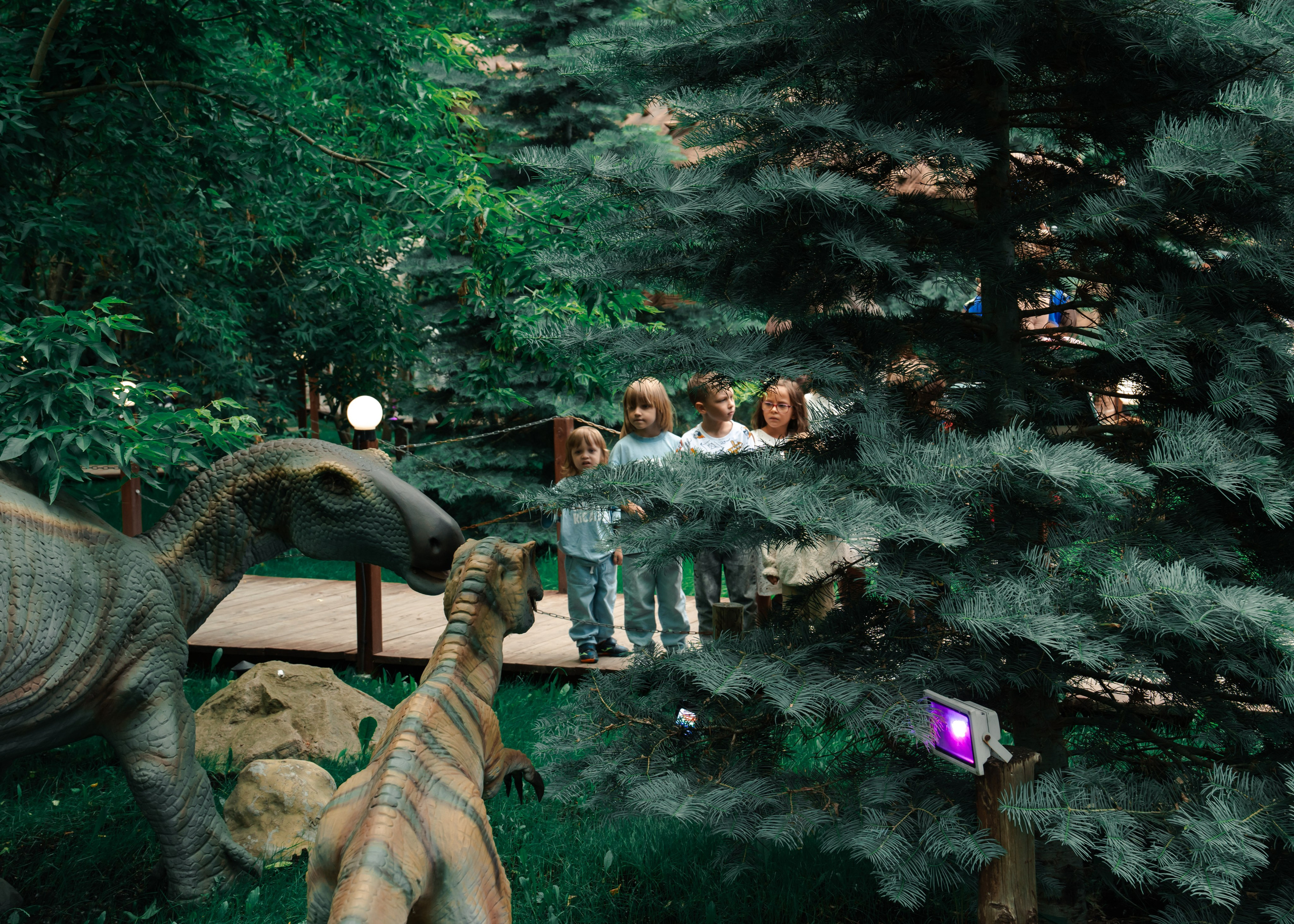 Веселье без границ. Крамер Юлиана детский и семейный фотограф