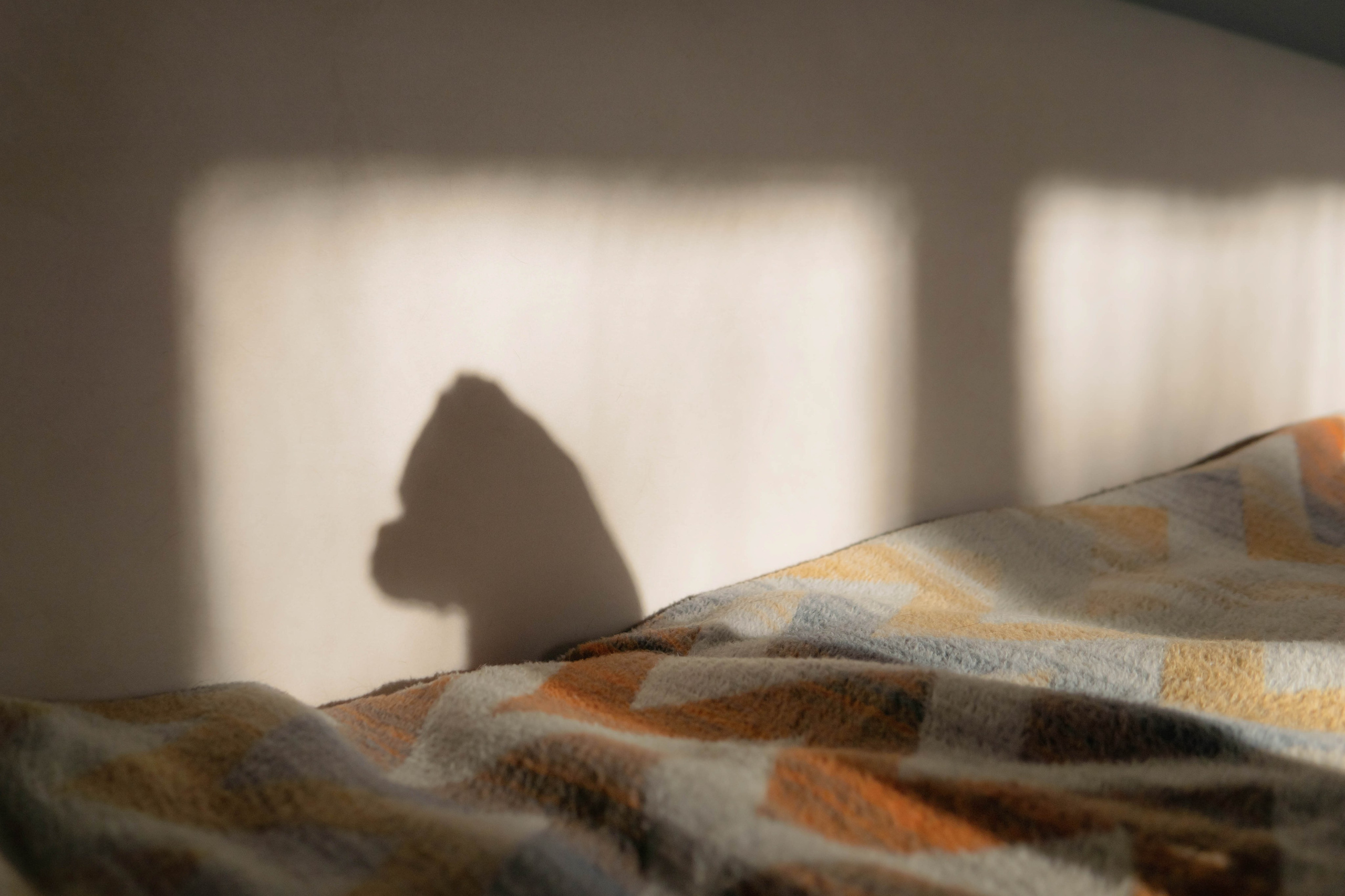 Надя и Ефим. Фотограф-анималист Ксения Воробьева, Москва