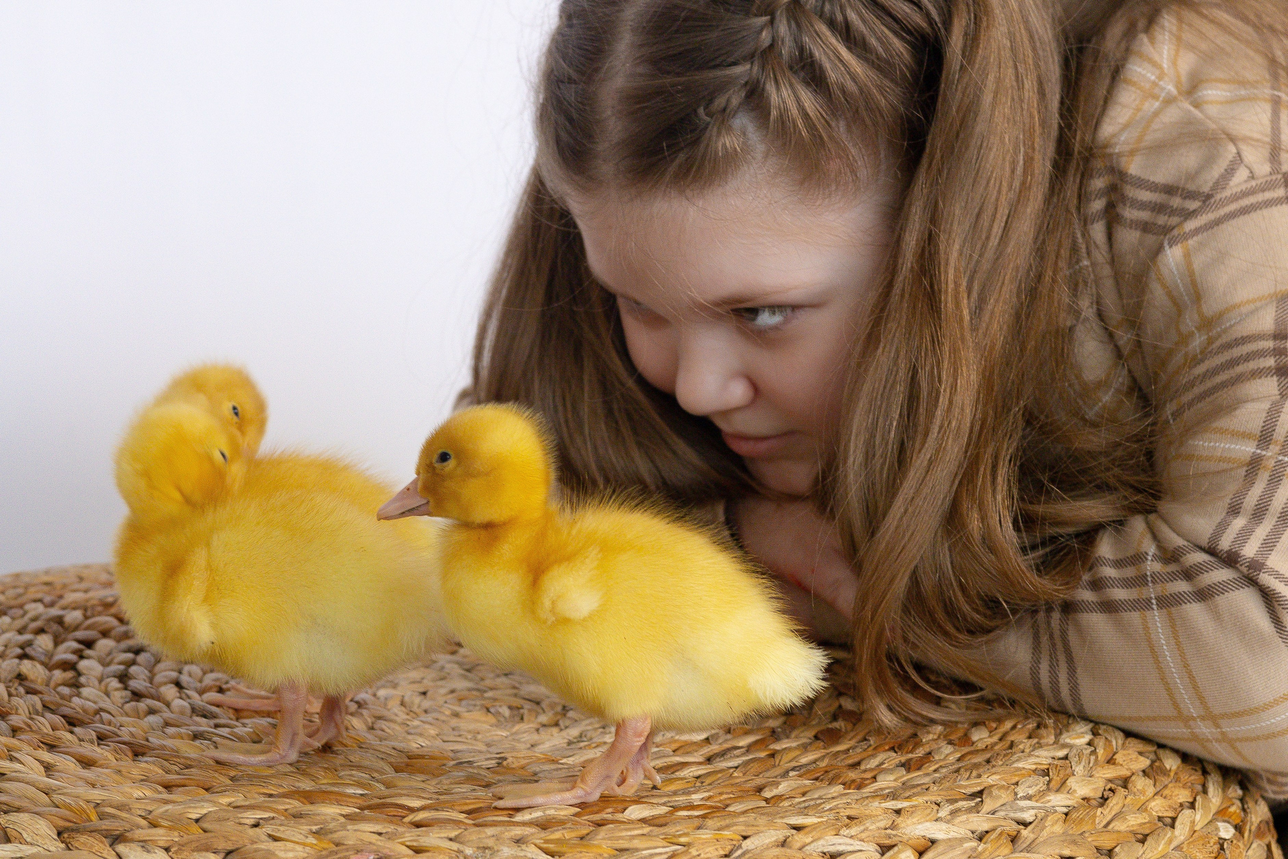 Утиные истории. Фотограф в Москве и Балашихе Анна Киндюк
