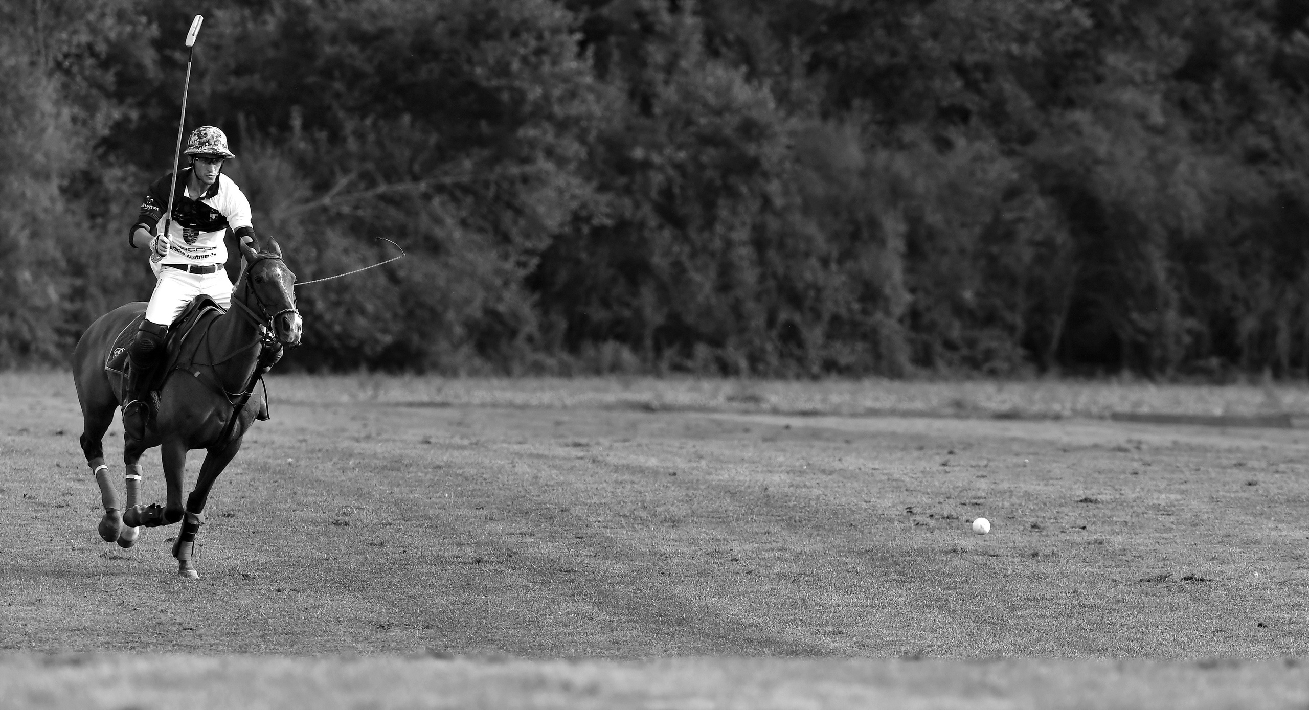 Polo art photos. Art photos of horses — ARTUR BABOEV | Photographer