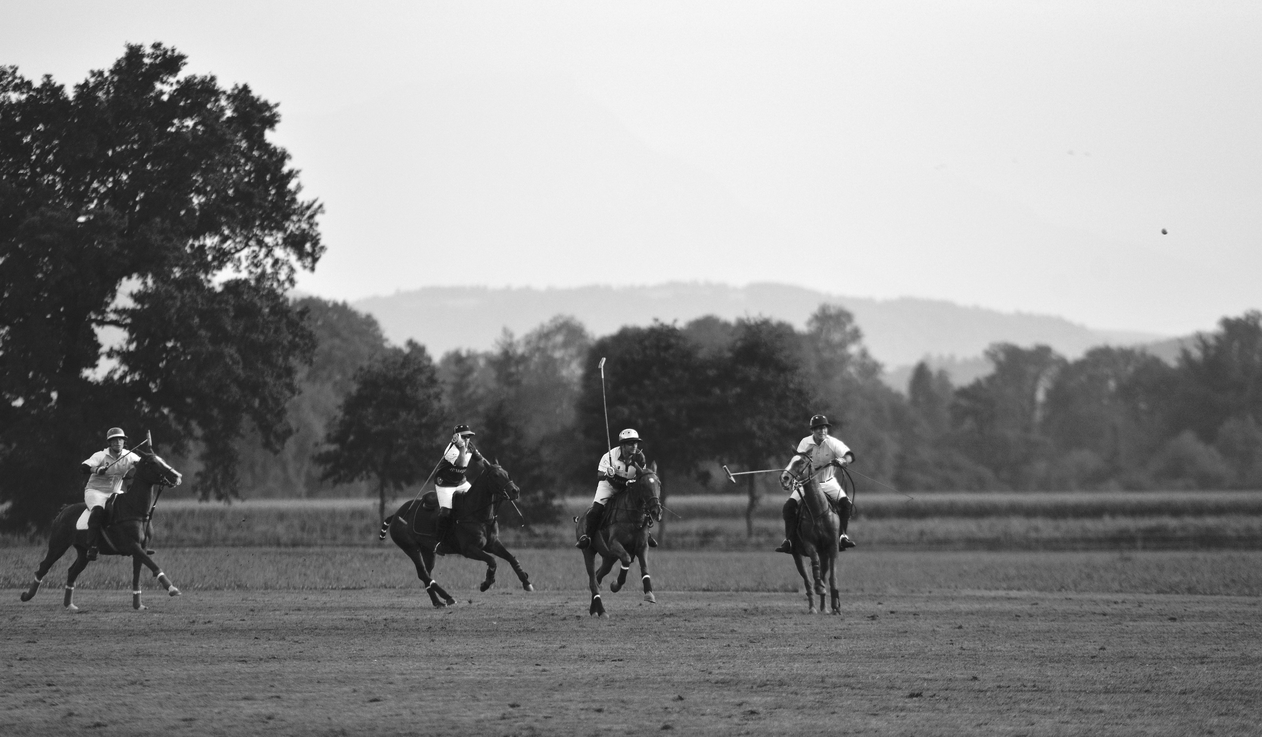Polo art photos. Art photos of horses — ARTUR BABOEV | Photographer