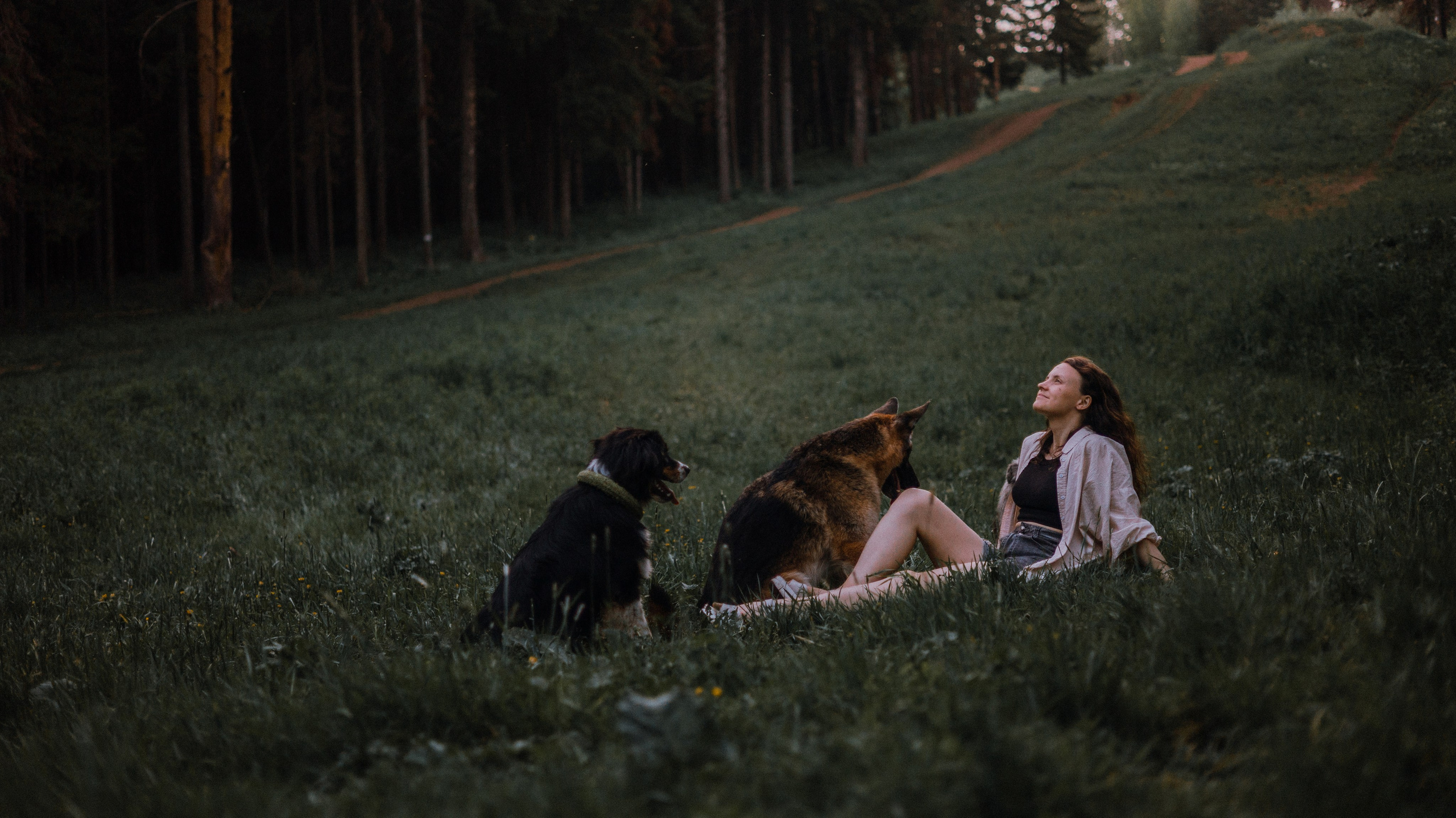 Настя, Шуня, Милка и Тигуан. Фотограф-анималист Богданова Полина