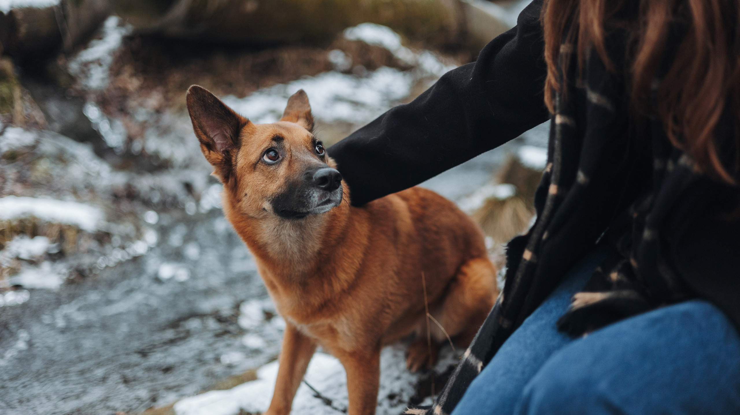 Юля, Лара и Йоми. Фотограф-анималист Богданова Полина