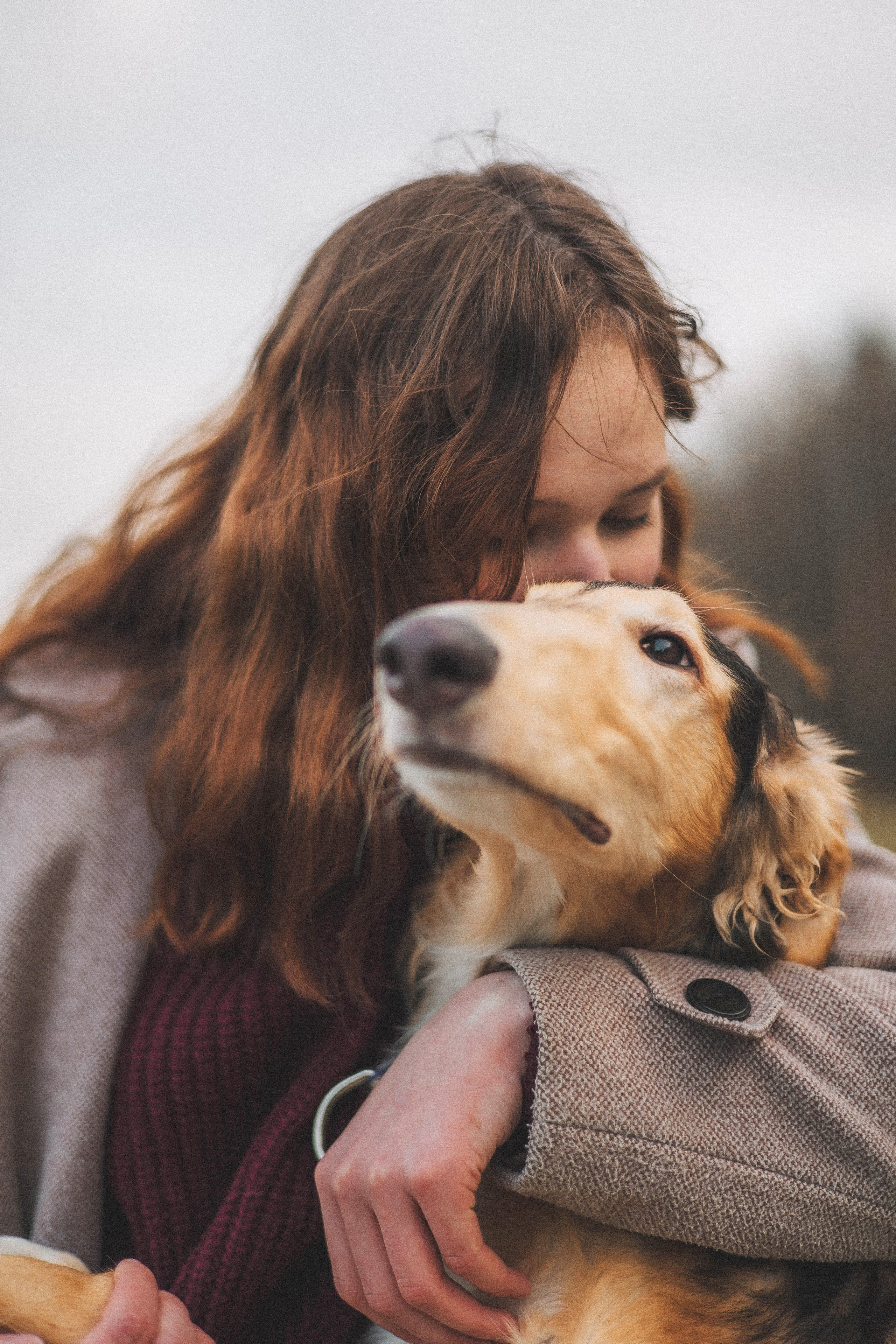 Алена, Леви и Микаса. Фотограф-анималист Богданова Полина