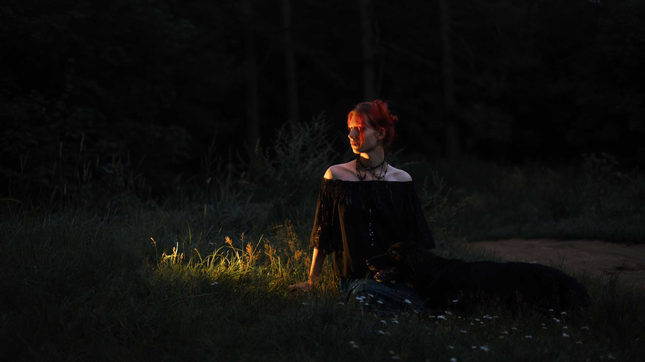 Лиза и Коди. Фотограф-анималист Богданова Полина