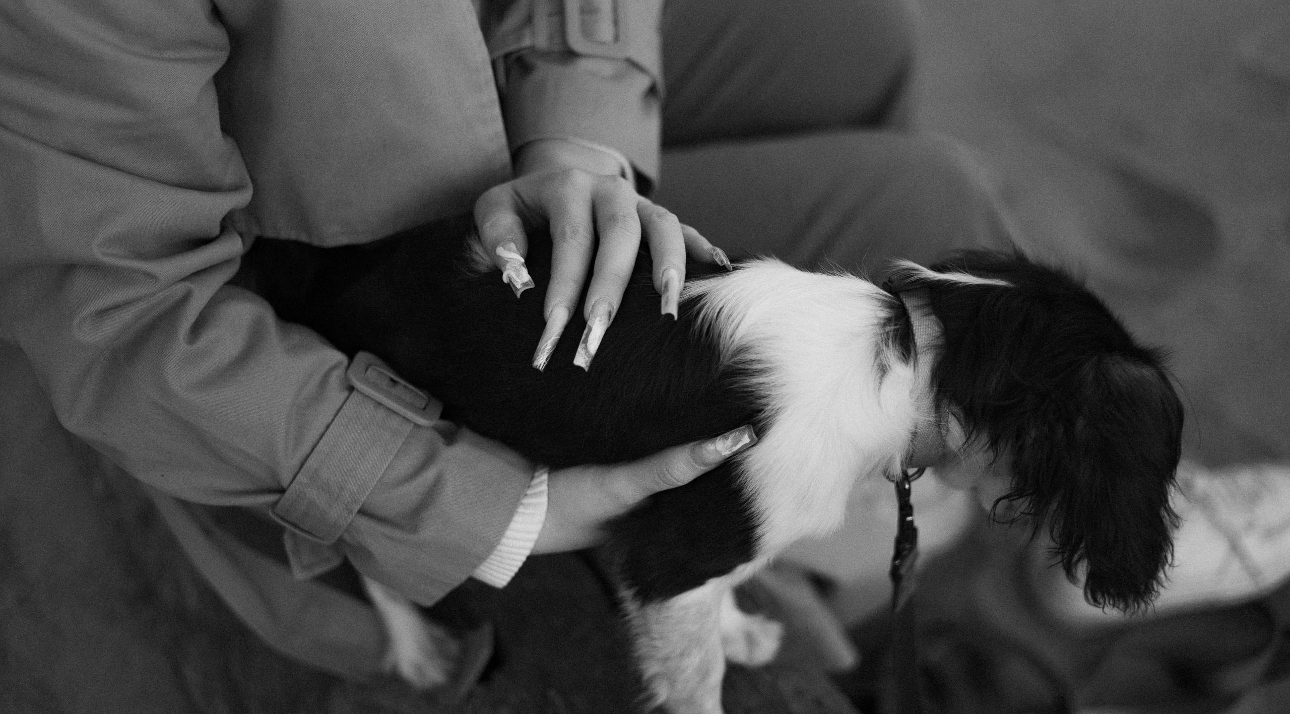 Ангелина и Йен. Фотограф-анималист Богданова Полина