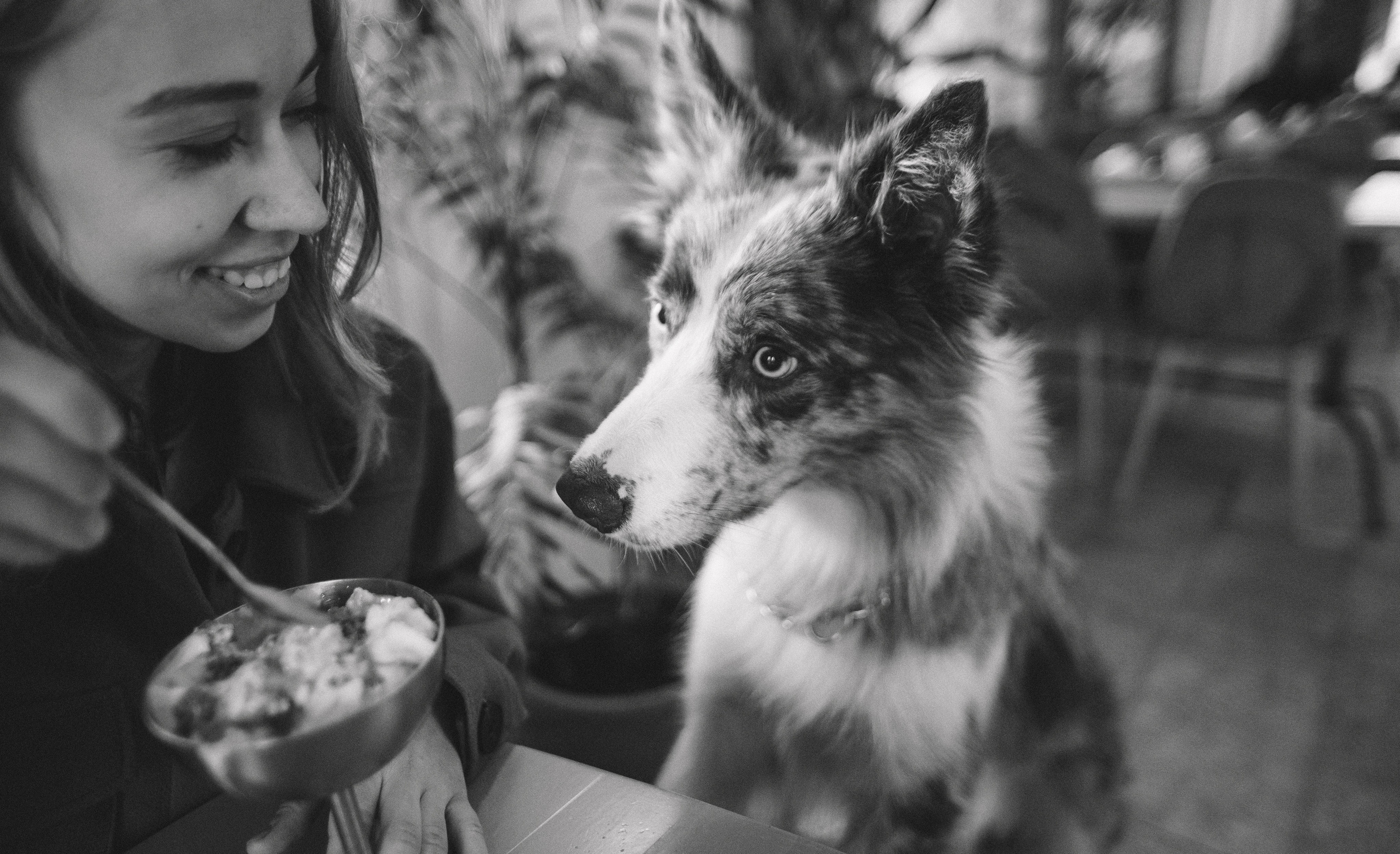 Диана и Робин. Фотограф-анималист Богданова Полина