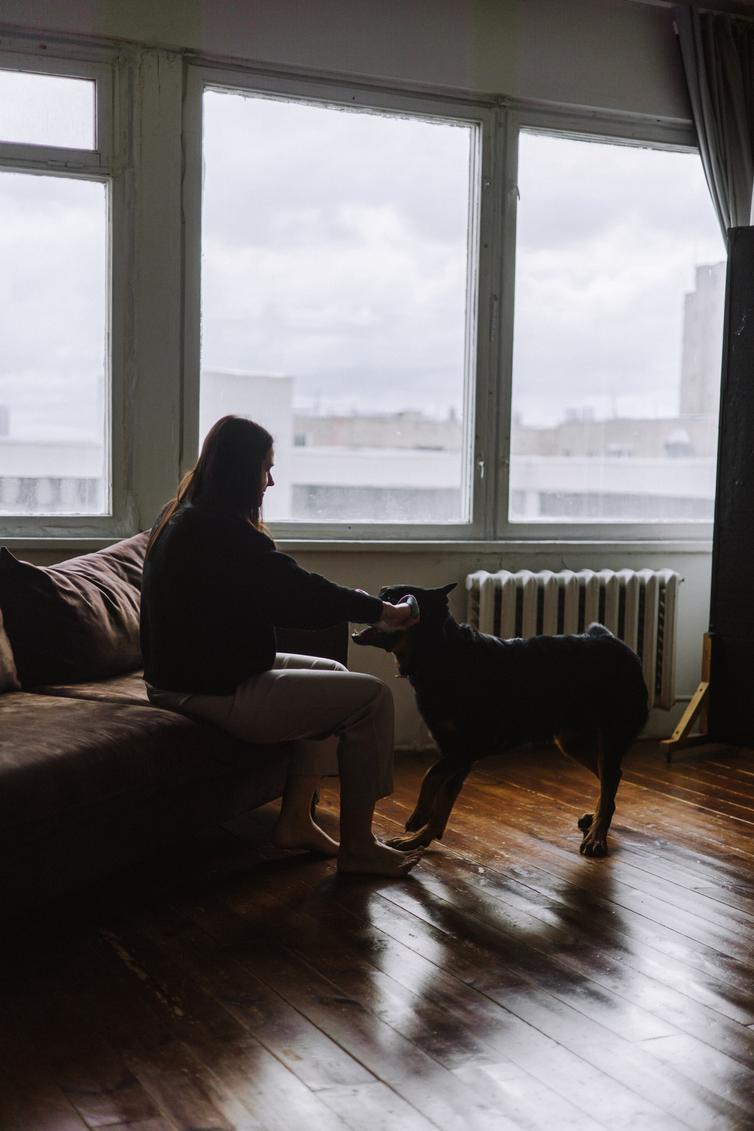 Полина и Зевс. Фотограф-анималист Богданова Полина
