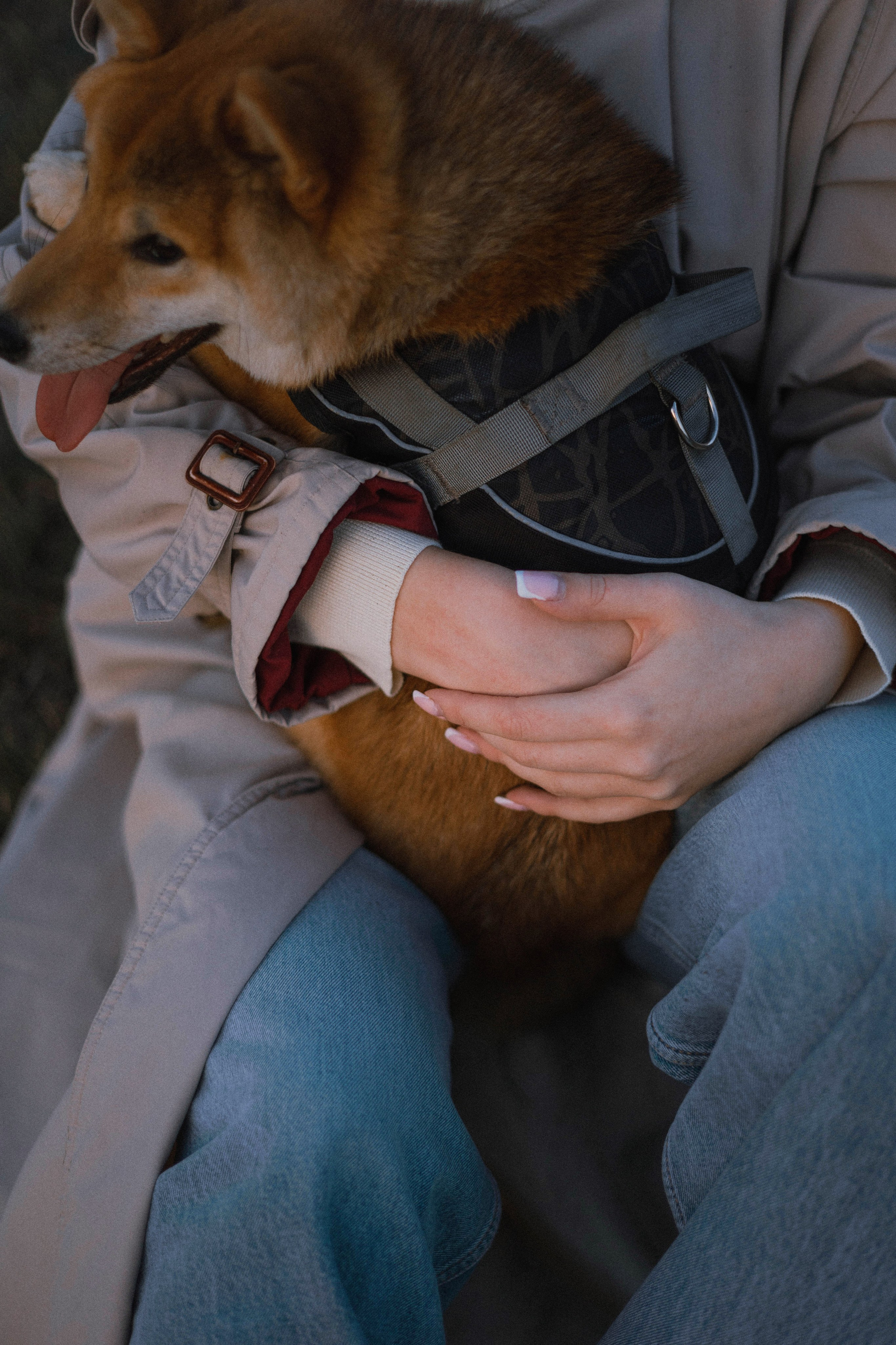 Аня и Шани. Фотограф-анималист Богданова Полина