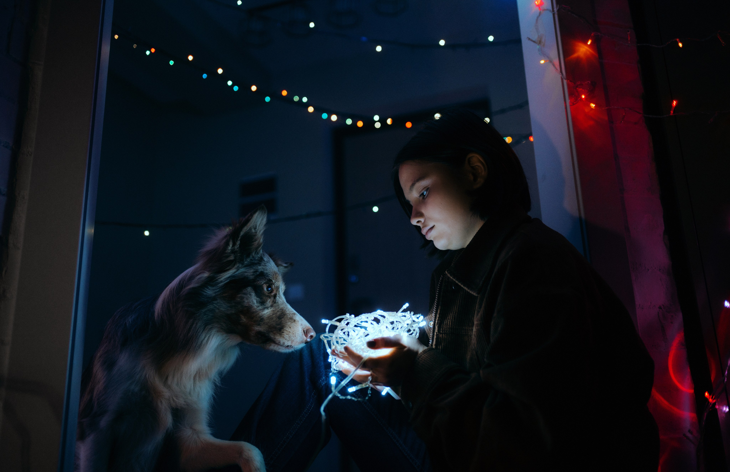 Аня и Дэймон. Фотограф-анималист Богданова Полина