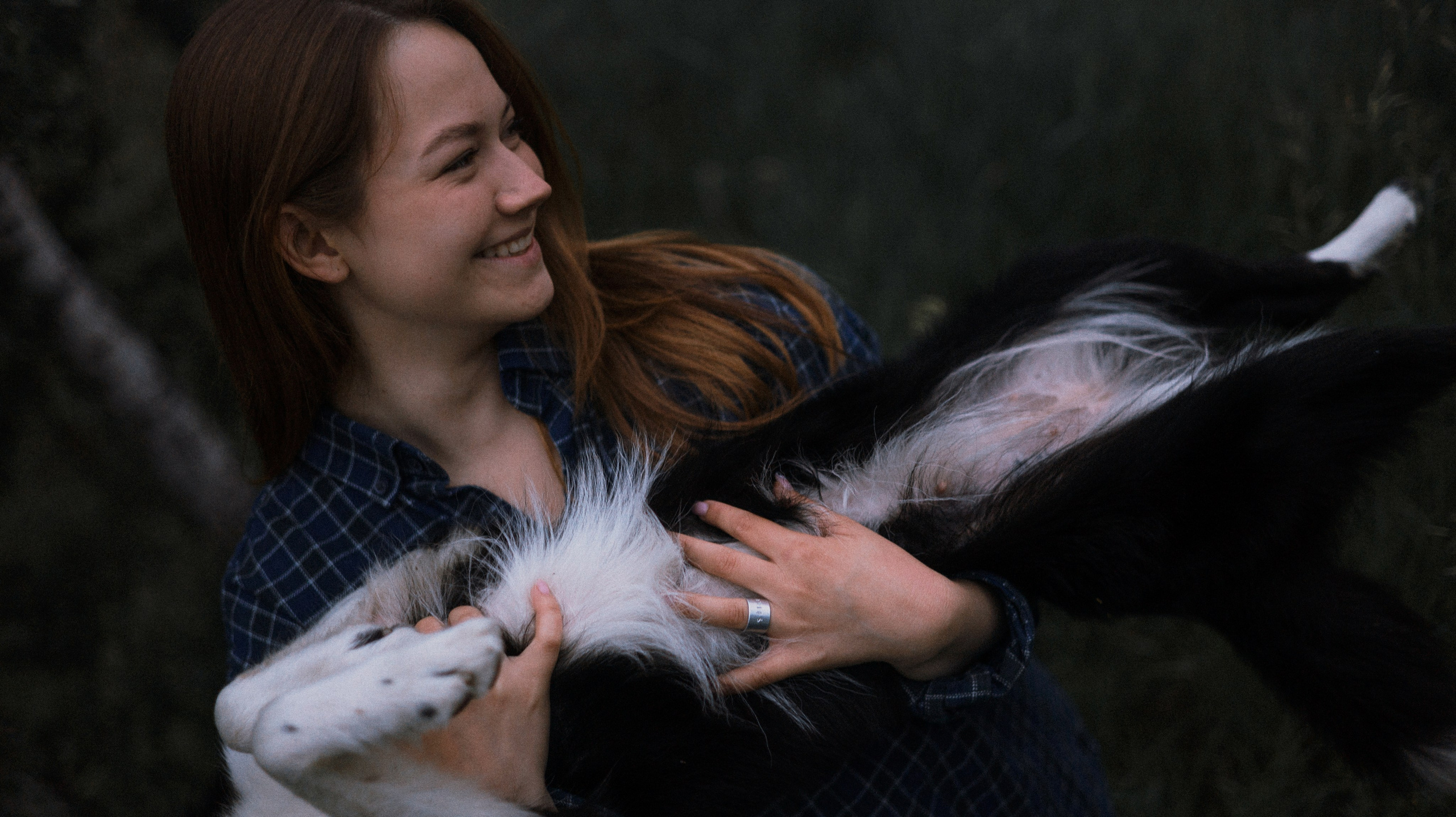 Аделя, Вандер, Шайна и Бая. Фотограф-анималист Богданова Полина