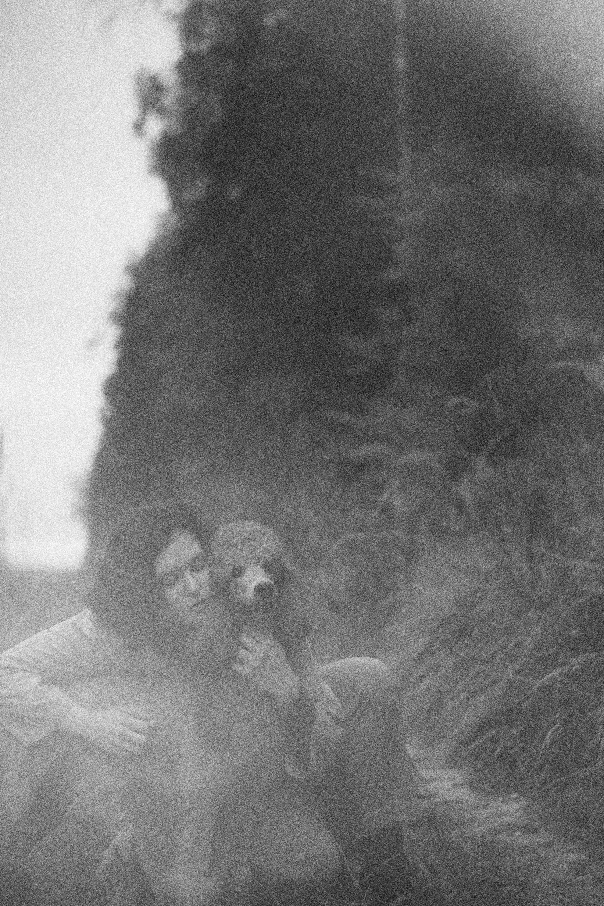 Алёна и Смоки. Фотограф-анималист Богданова Полина