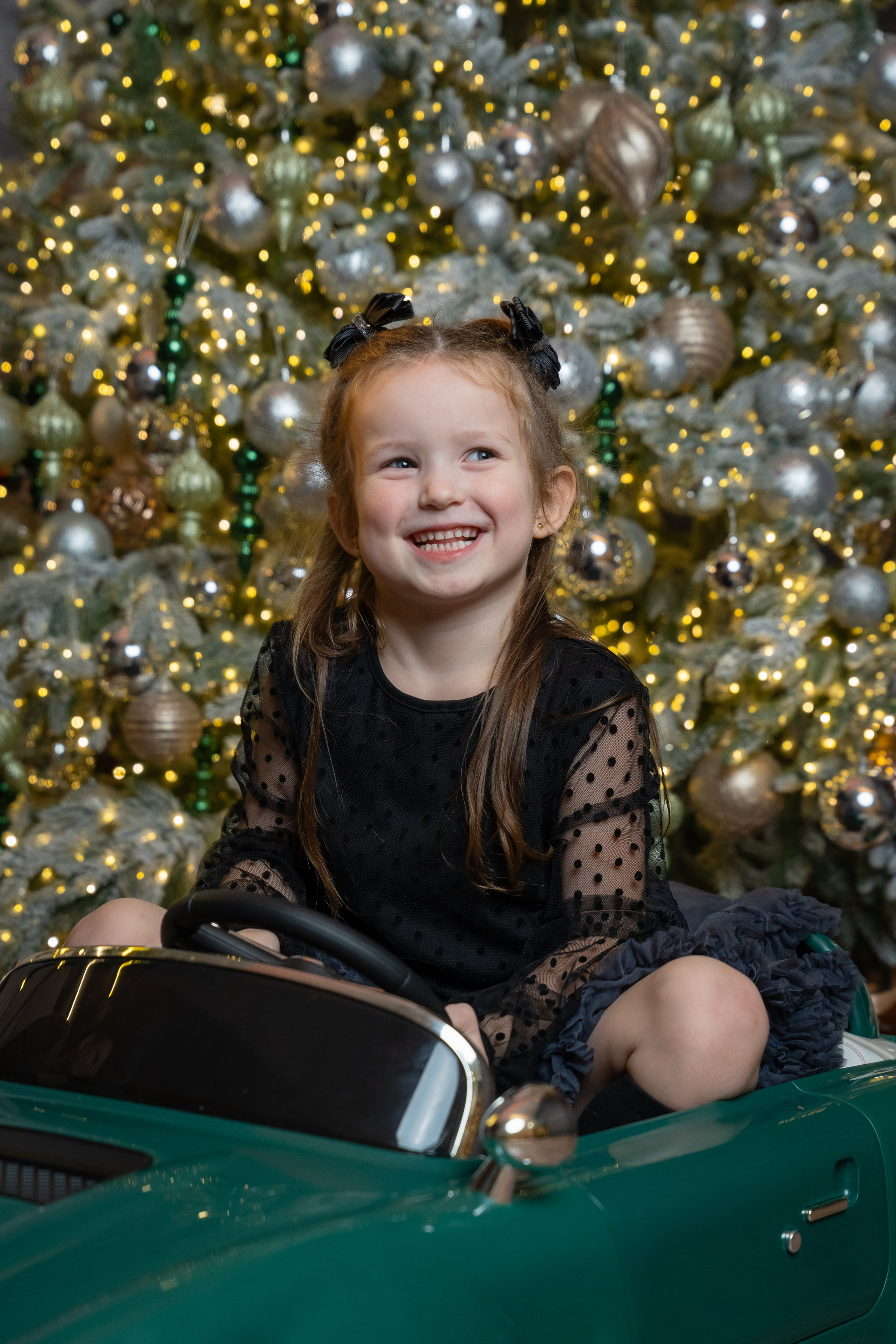 НОВОГОДНЯЯ СКАЗКА