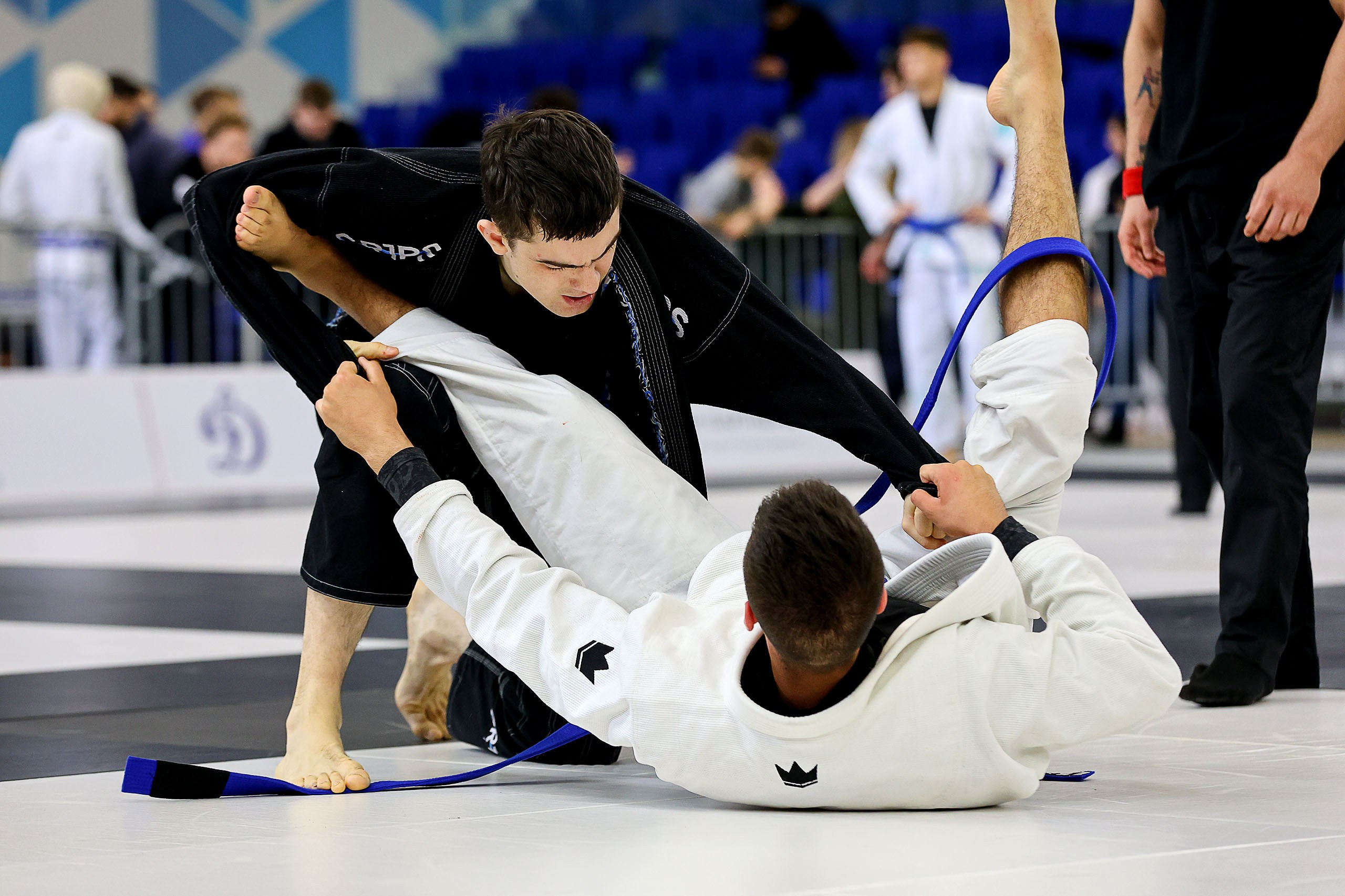 BJJ. Спортивный фотограф в Нижнем Новгороде и Сочи Ангелина Ильичева