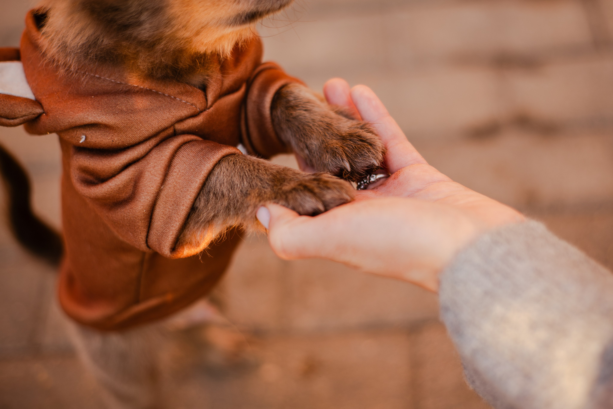 Варя и Фунтик. Фотограф-анималист Мария Баркевич | Москва