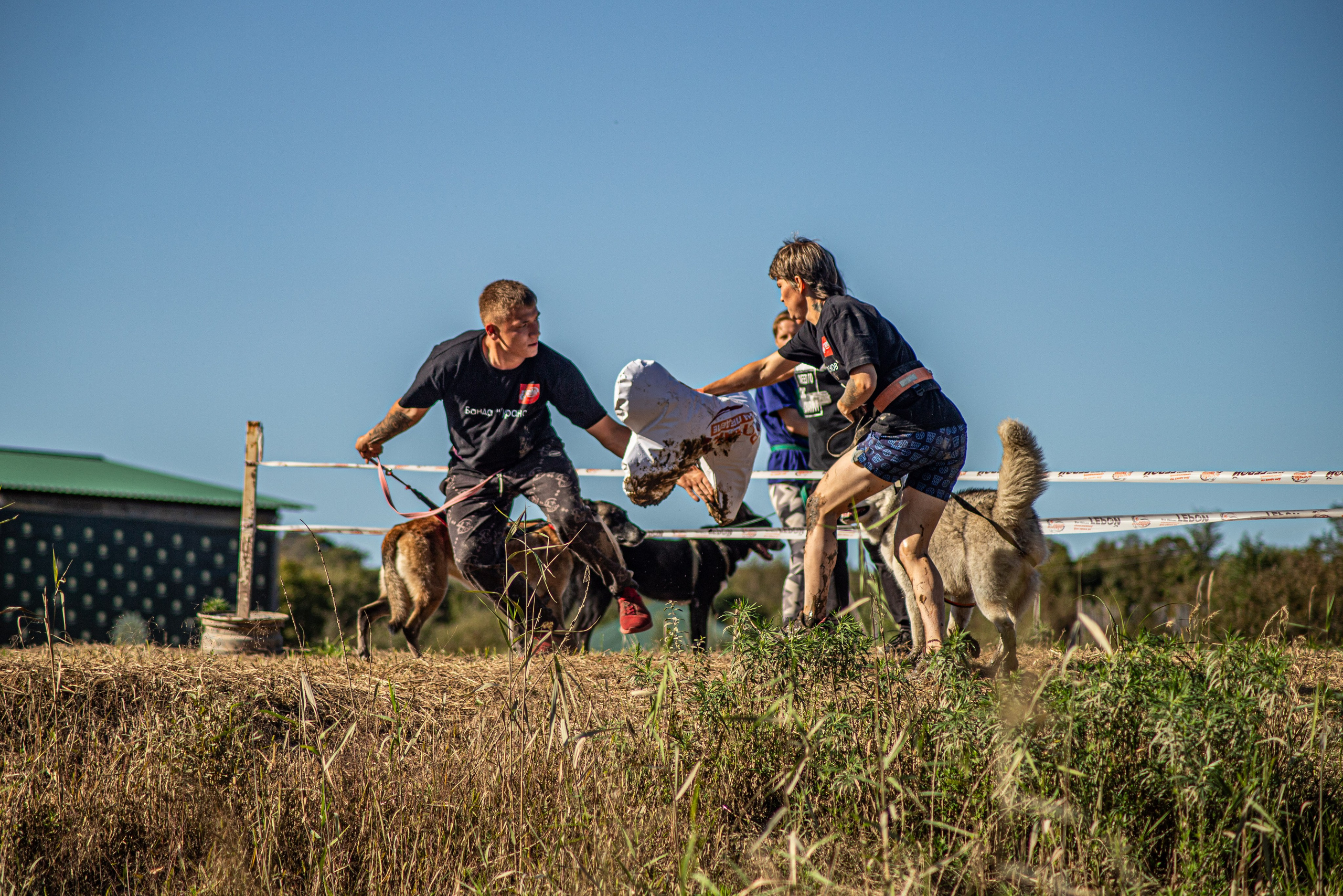 Dogtrail 2023. Уссурийск