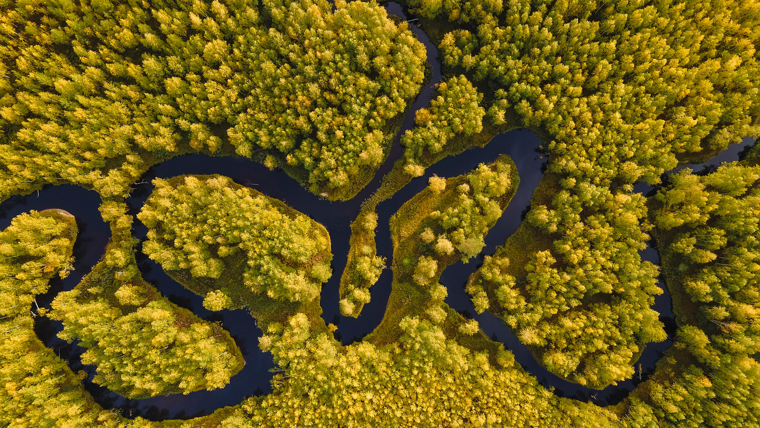 Фотограф Татьяна Борисова
