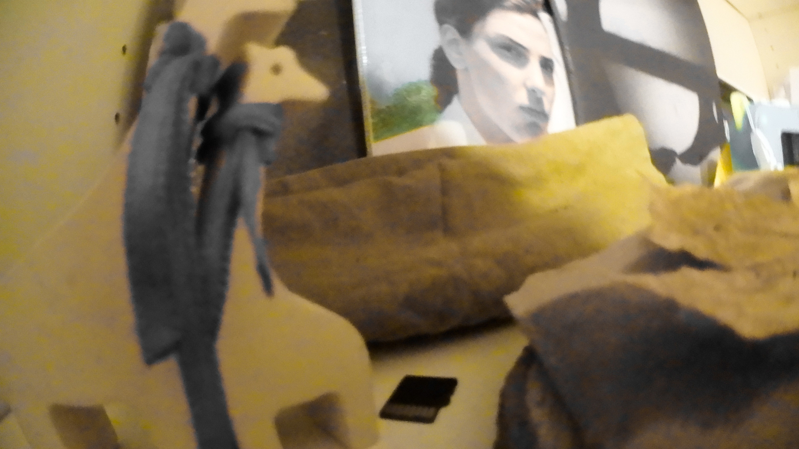 Гости. Fedor Kalinin