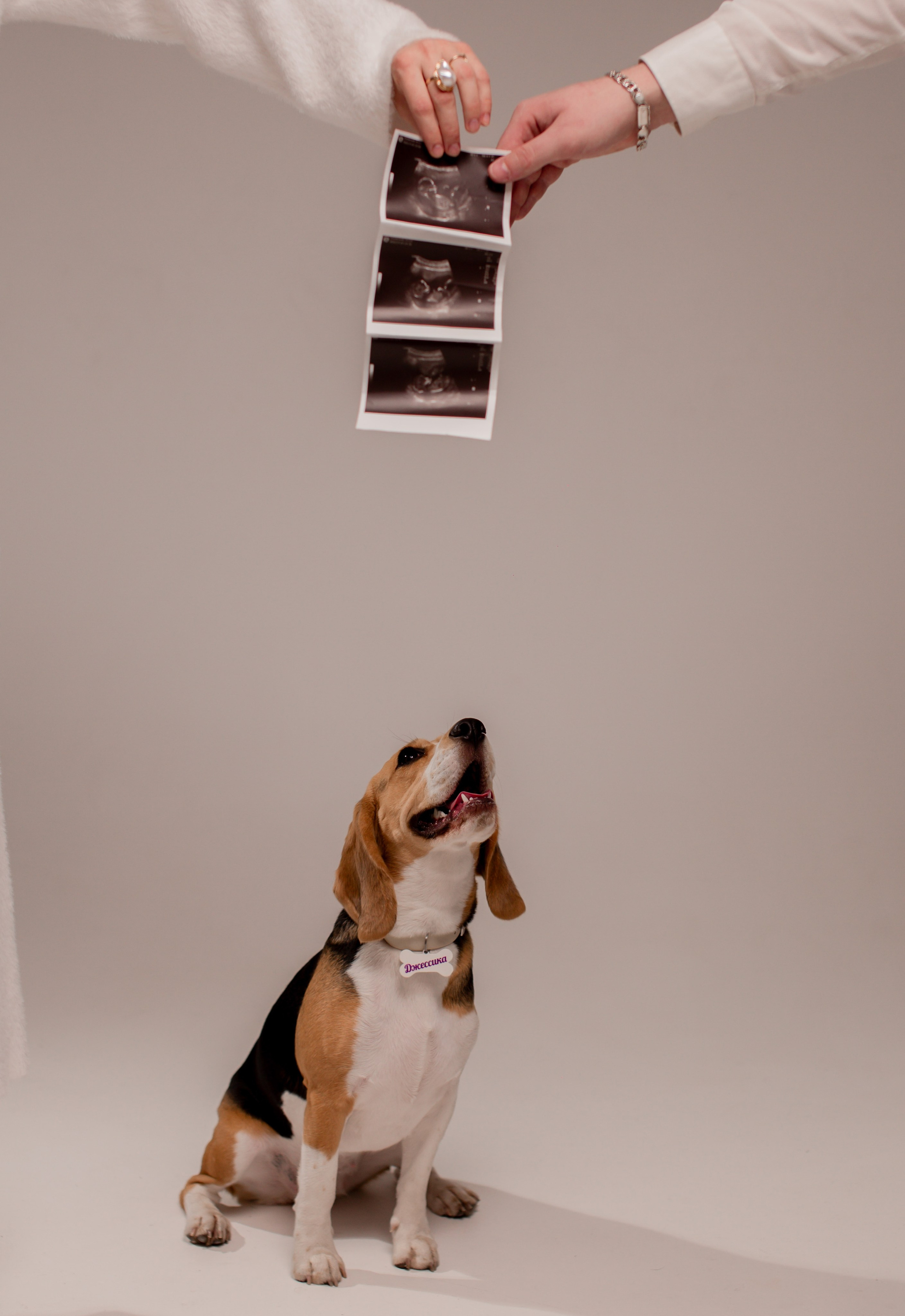 Соня. ФОТОГРАФ ~ Виктория Ивченко ~ Старый Оскол