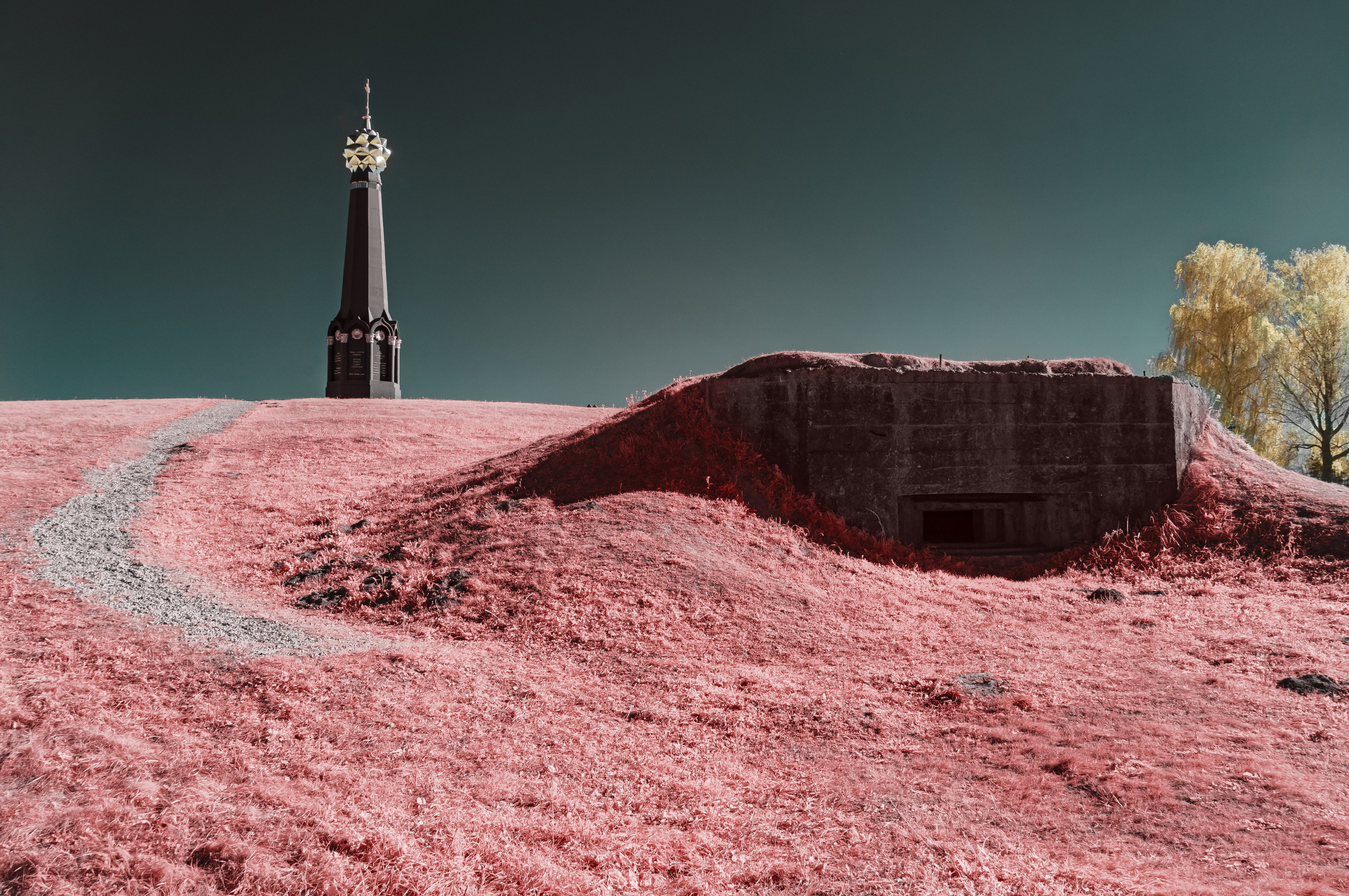 Инфракрасная фотография. Портретный, репортажный и свадебный фотограф в Екатеринбурге Денис Южаков