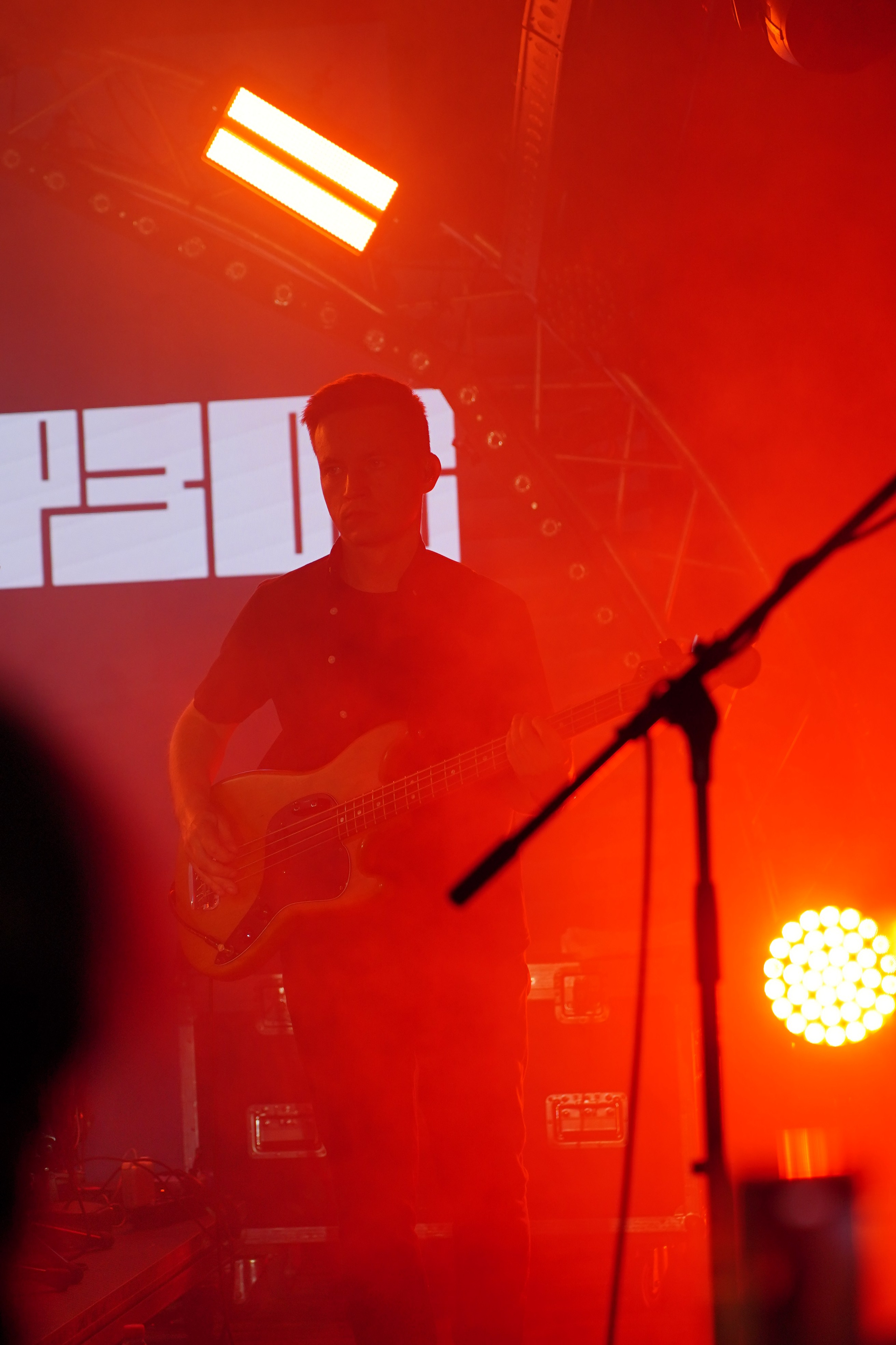 PETSHOPDAYS. Найк Борзов. Denis Kirillov