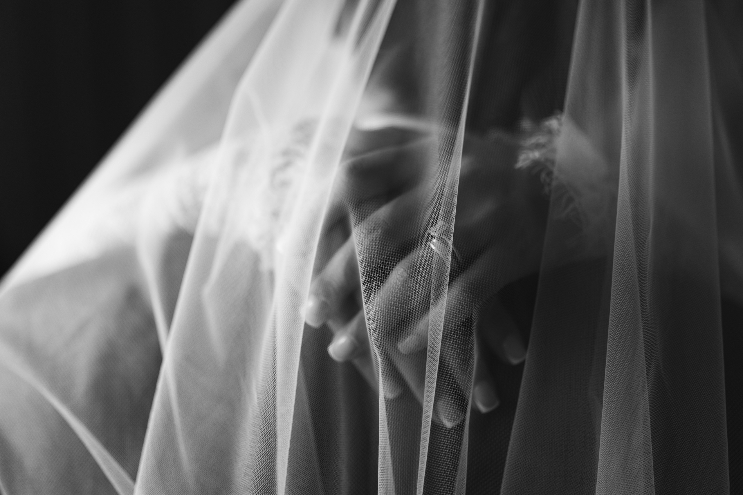 Wedding in Baku. Свадебный и семейный фотограф в Краснодар, Россия