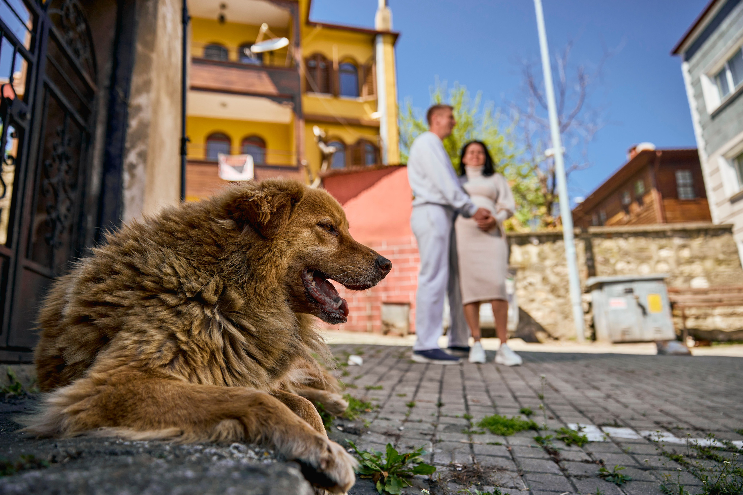Амасра. Фото департамент круизного лайнера Астория Гранде