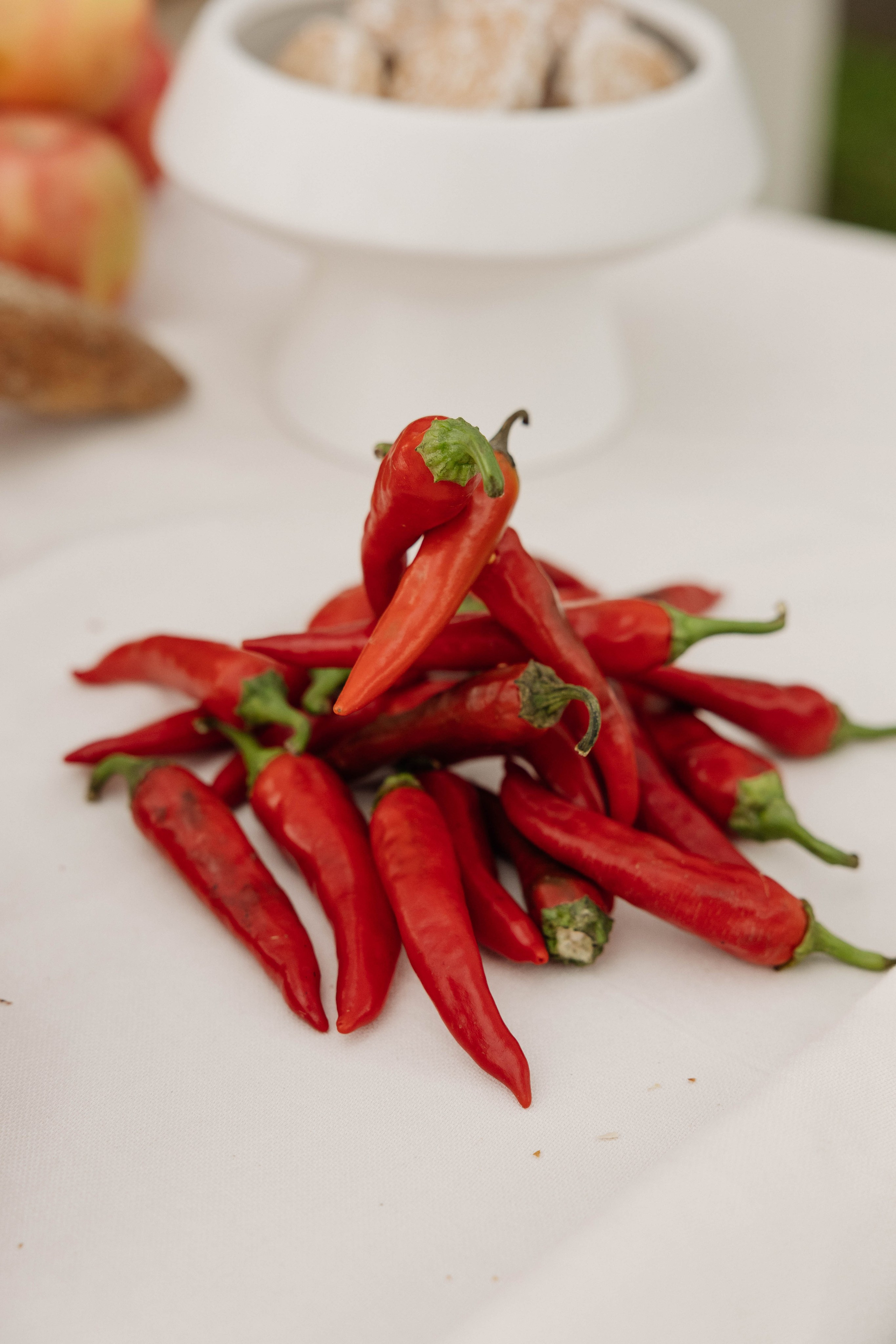 Летнее корпоративное событие ПАО «Совкомбанк». Свадебный фотограф Красноярск Элина Леонова