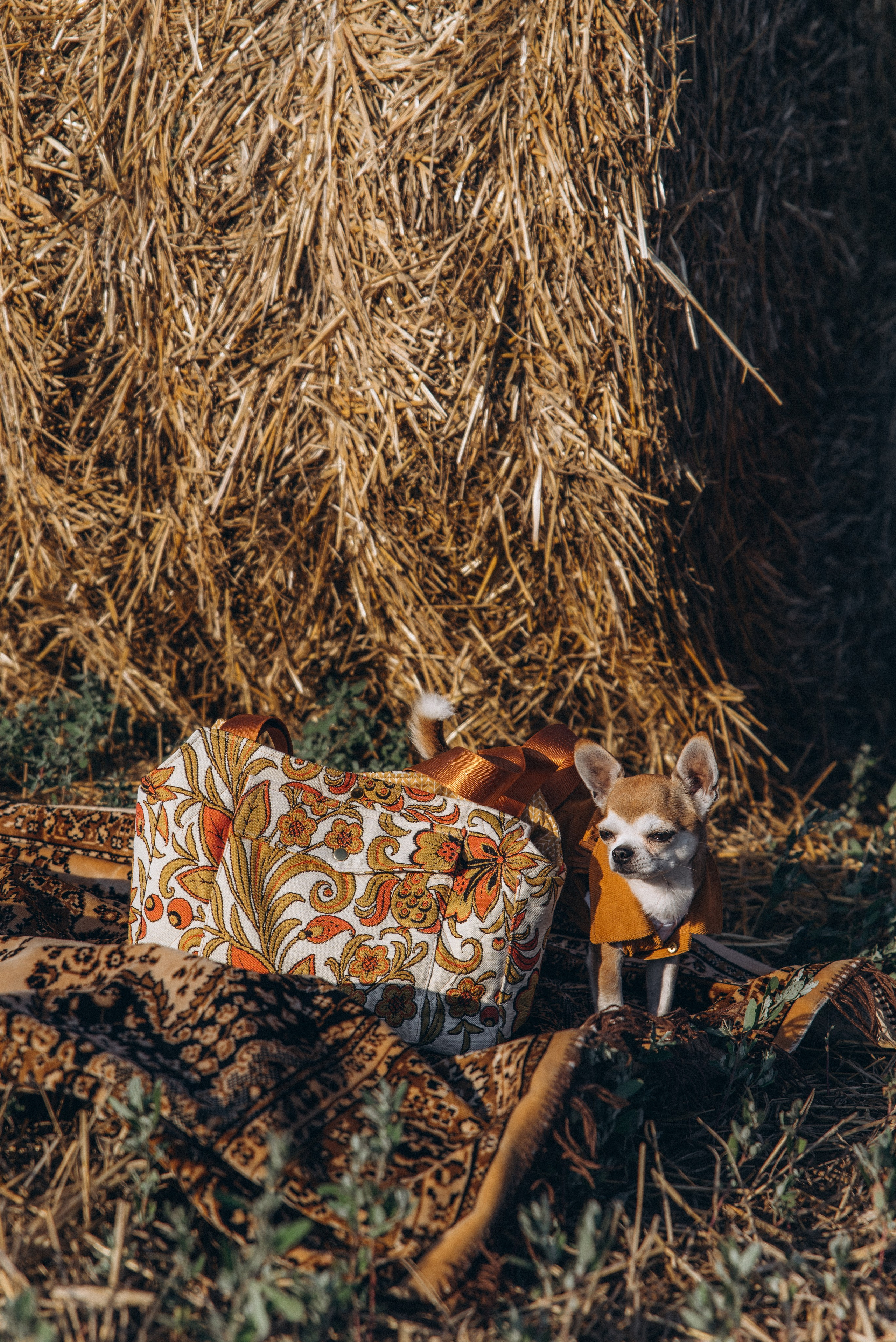 ЛЕНА. Ольга Козлова фотограф Волгоград olkiny-fotki.ru