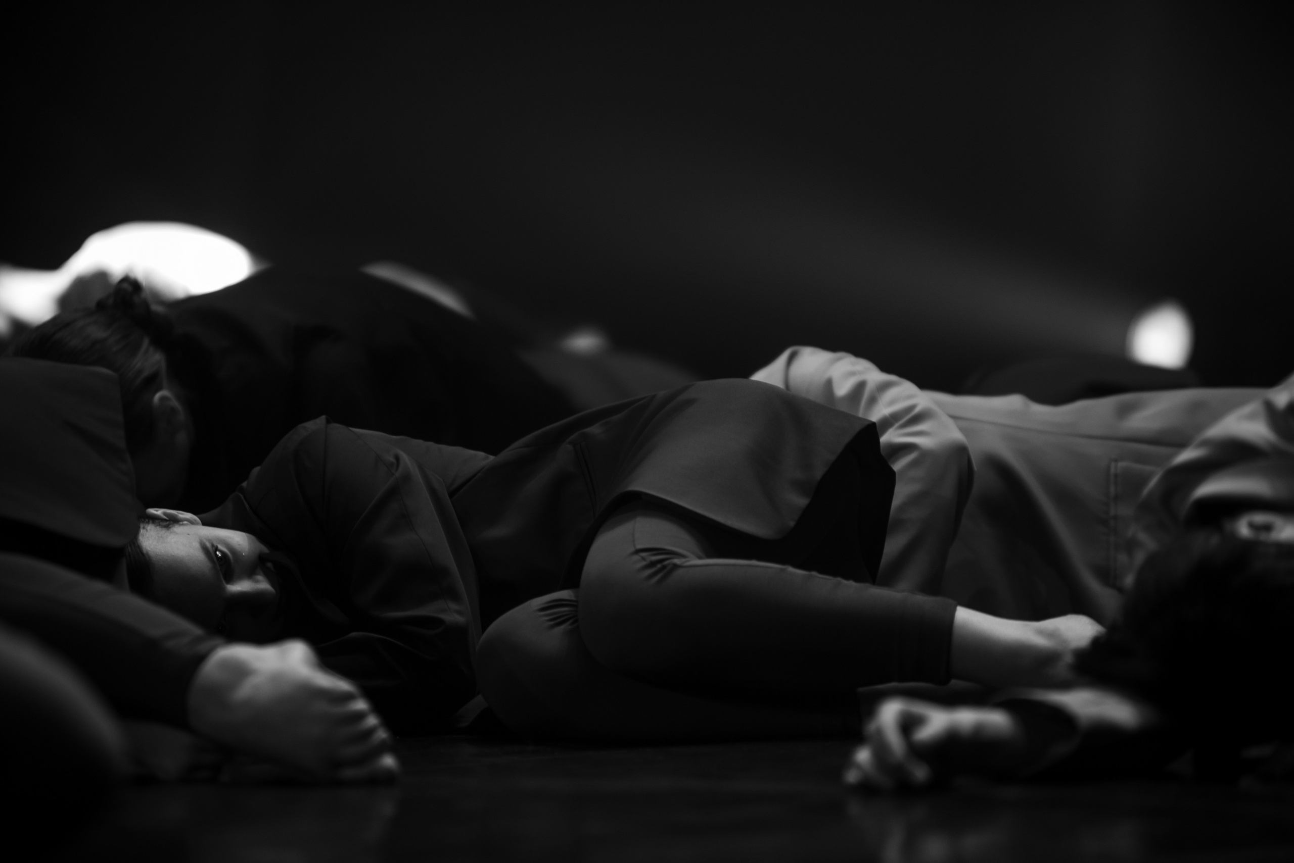 Фламинго | VNЕфокуса