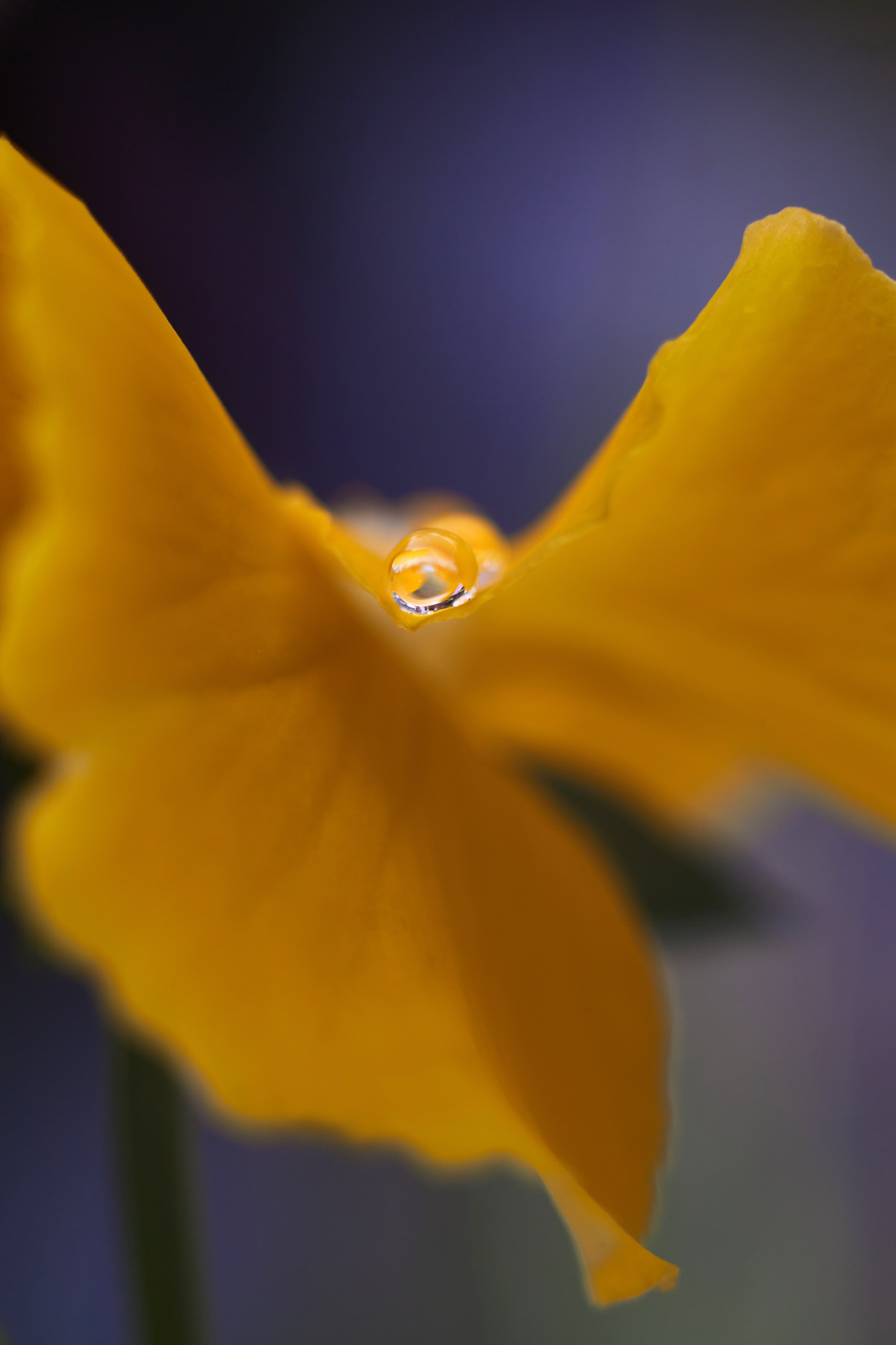 Art пейзаж. Фотограф Анастасия Федорова  Санкт-Петербург