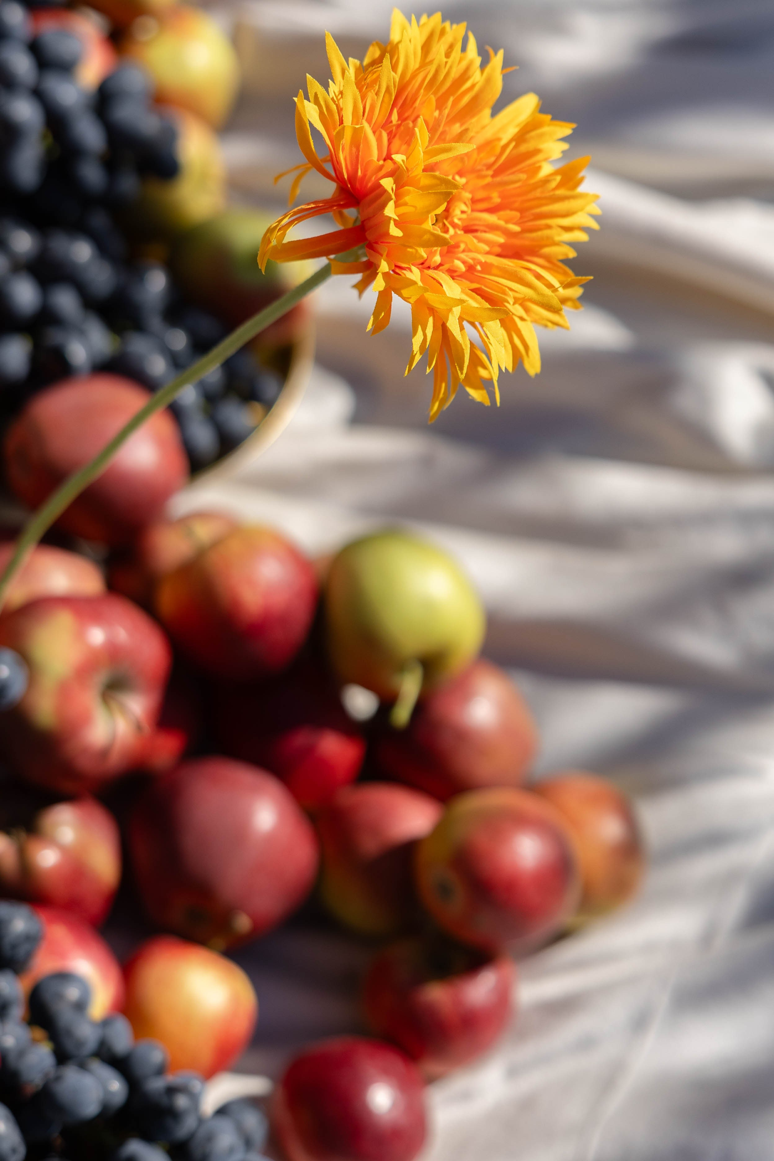 Иван и Лиза. Свадебный и семейный фотограф Евгения Привалова. Новороссийск. Анапа