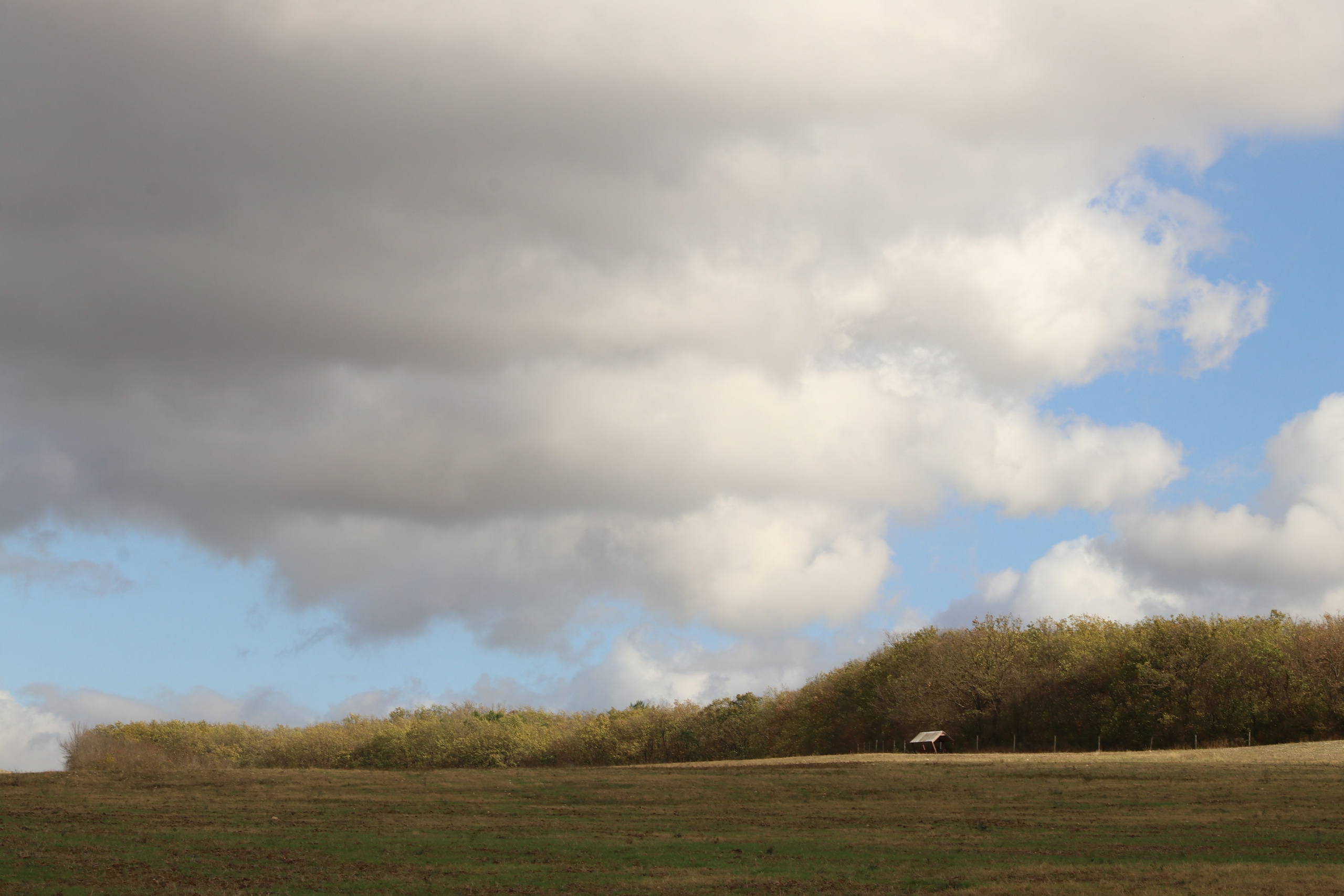 Крым. ЮБК (Гурзуф, Судак и их окрестности). Ноябрь 2023. Путешественник-фотограф из Санкт-Петербурга Татьяна Свистулина