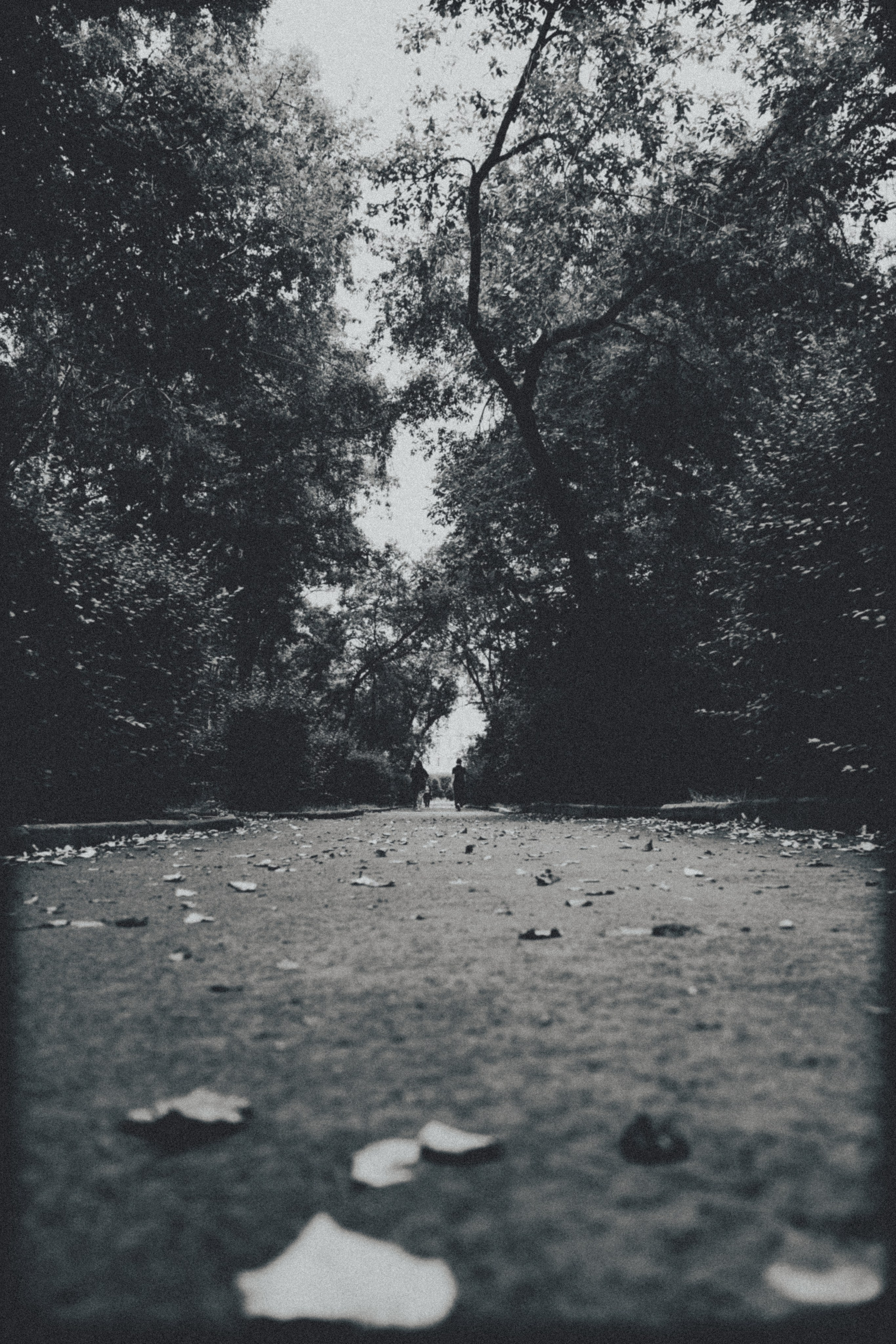 Екатеринбург. Jean De Vivre Gallery