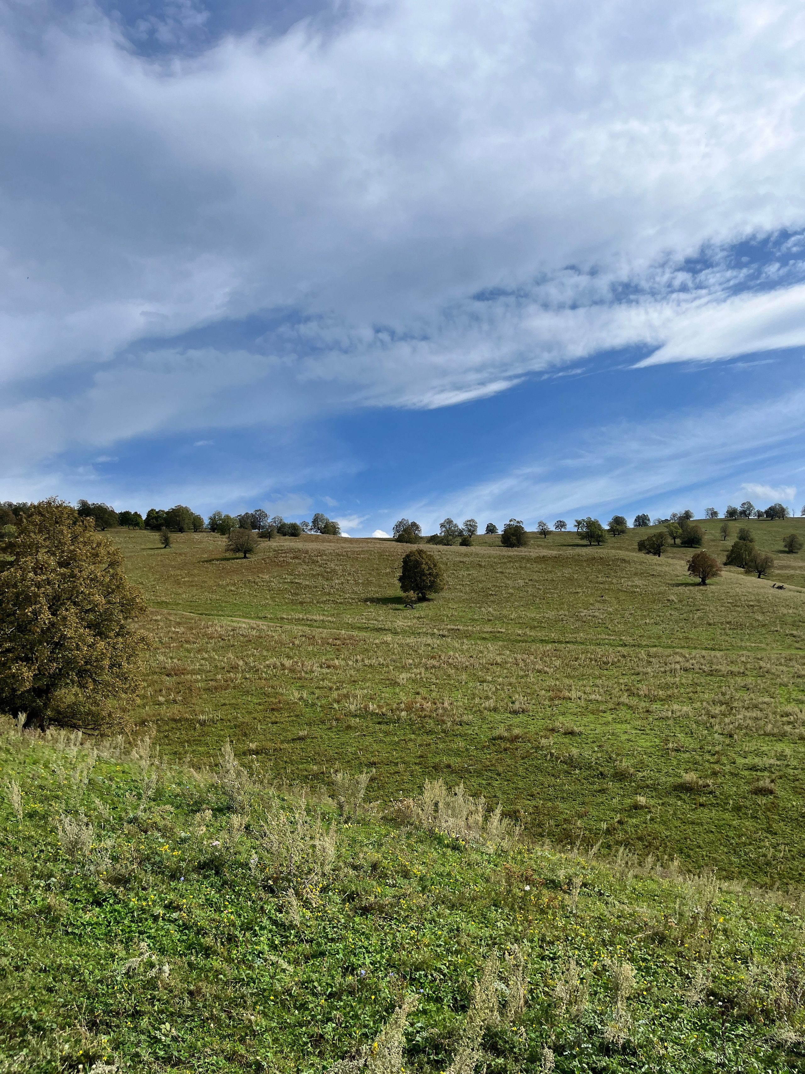 Конный тур к скале Уклы-Кая из Уфы — Время приключений