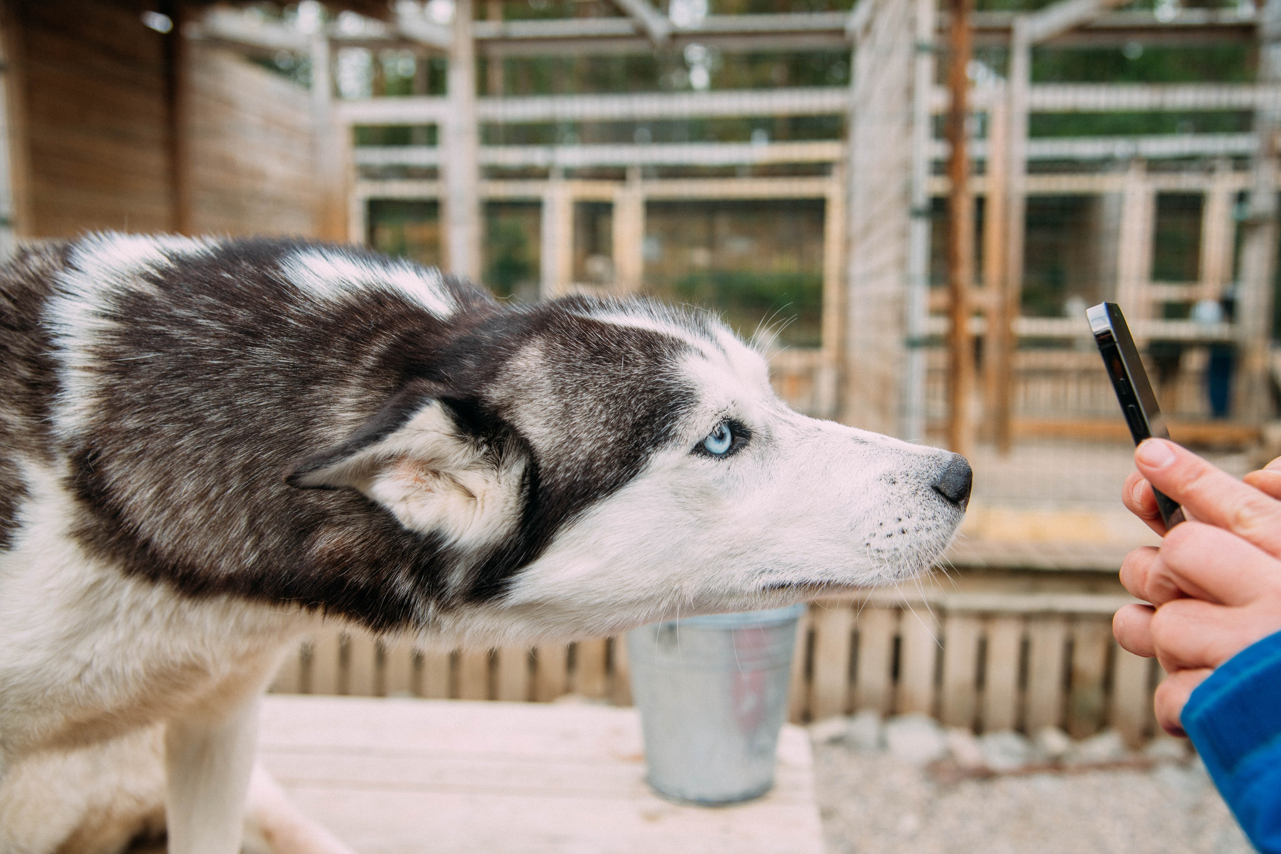 Кольский полуостров. Фотографирую для себя, своей семьи и друзей!