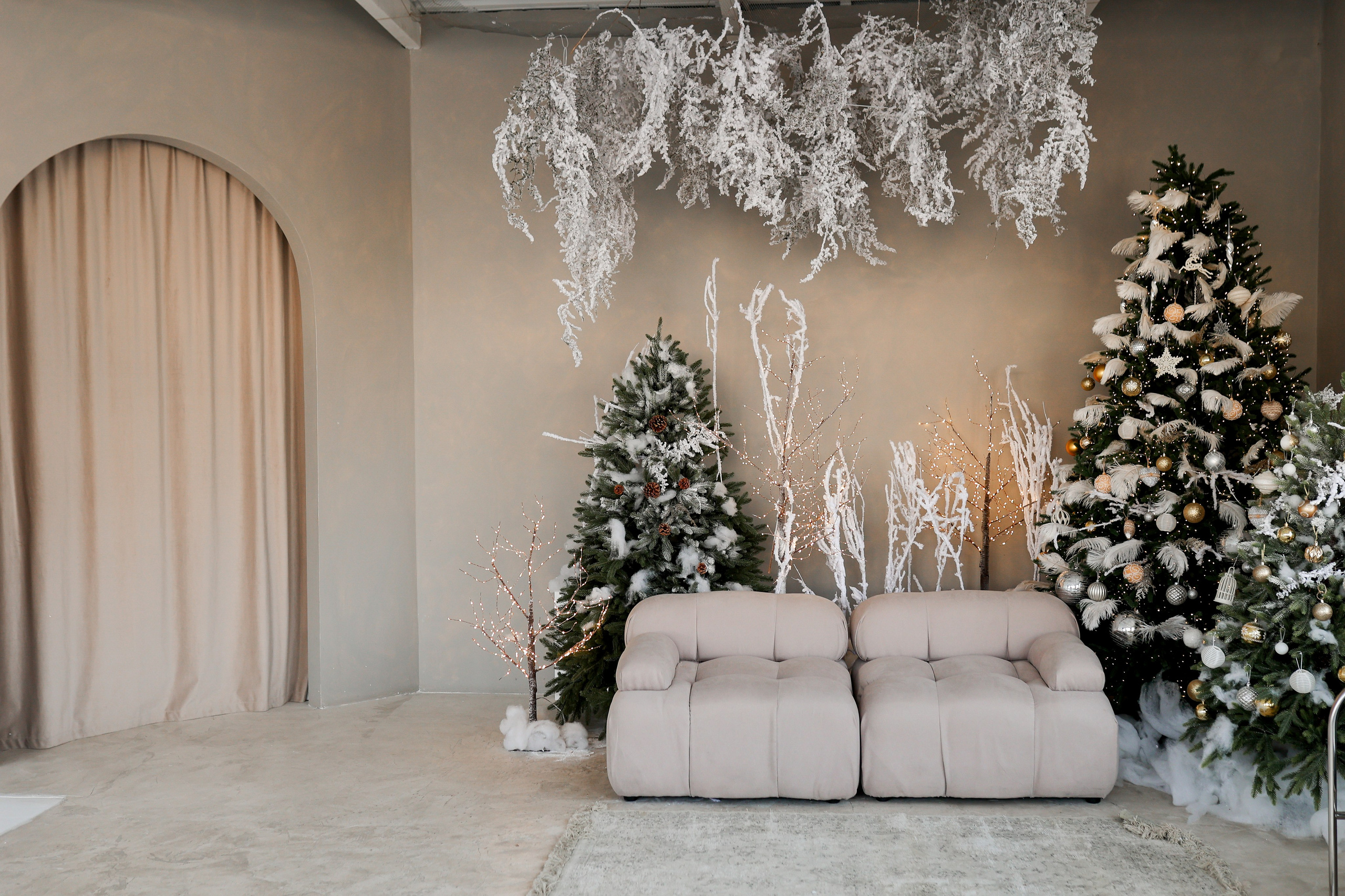 Циклорама. Фотостудия Фотодом. Якутск