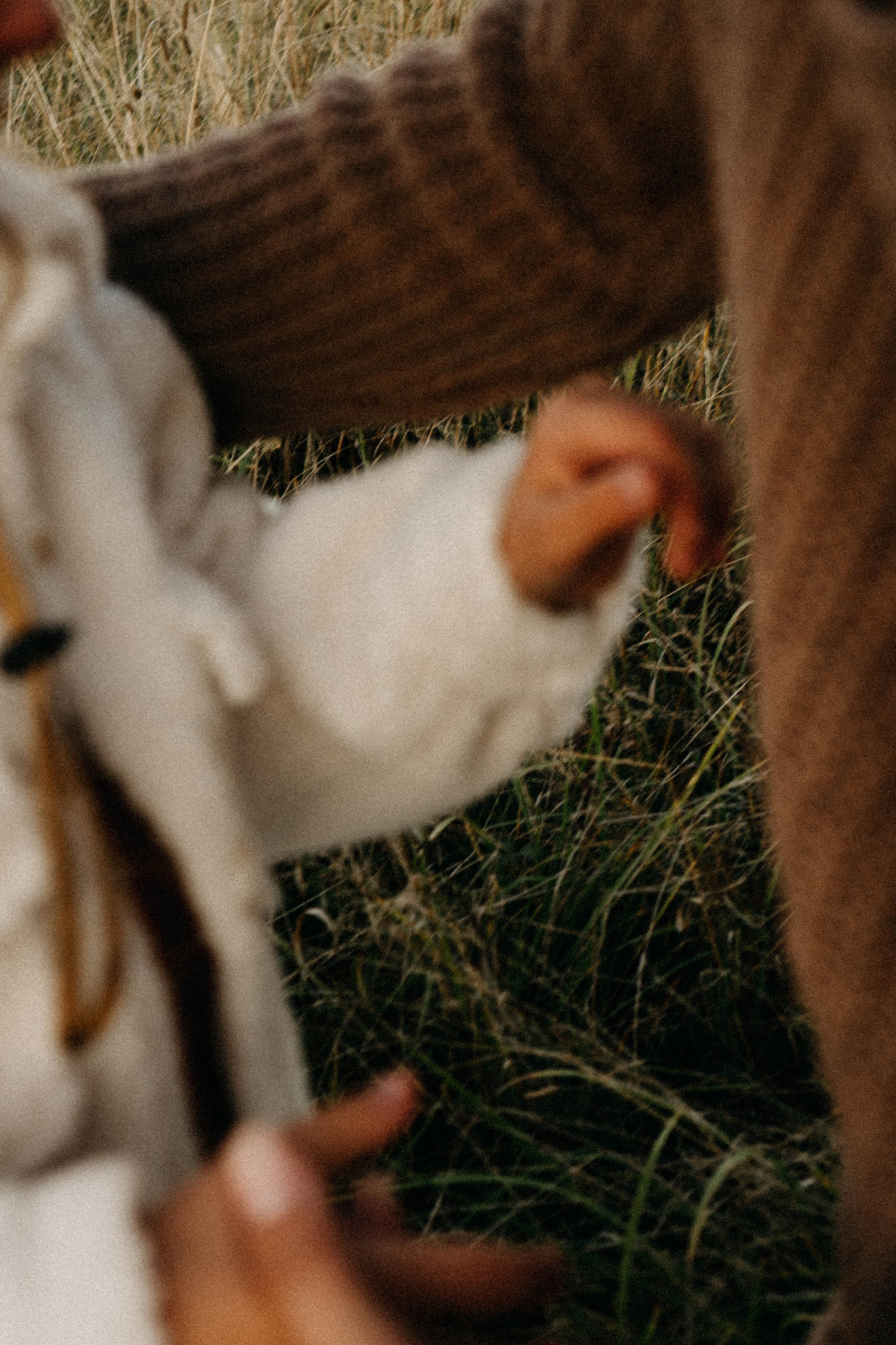 Семейная серия. Профессиональный фотограф, Санкт-Петербург — Виктория Богомолова