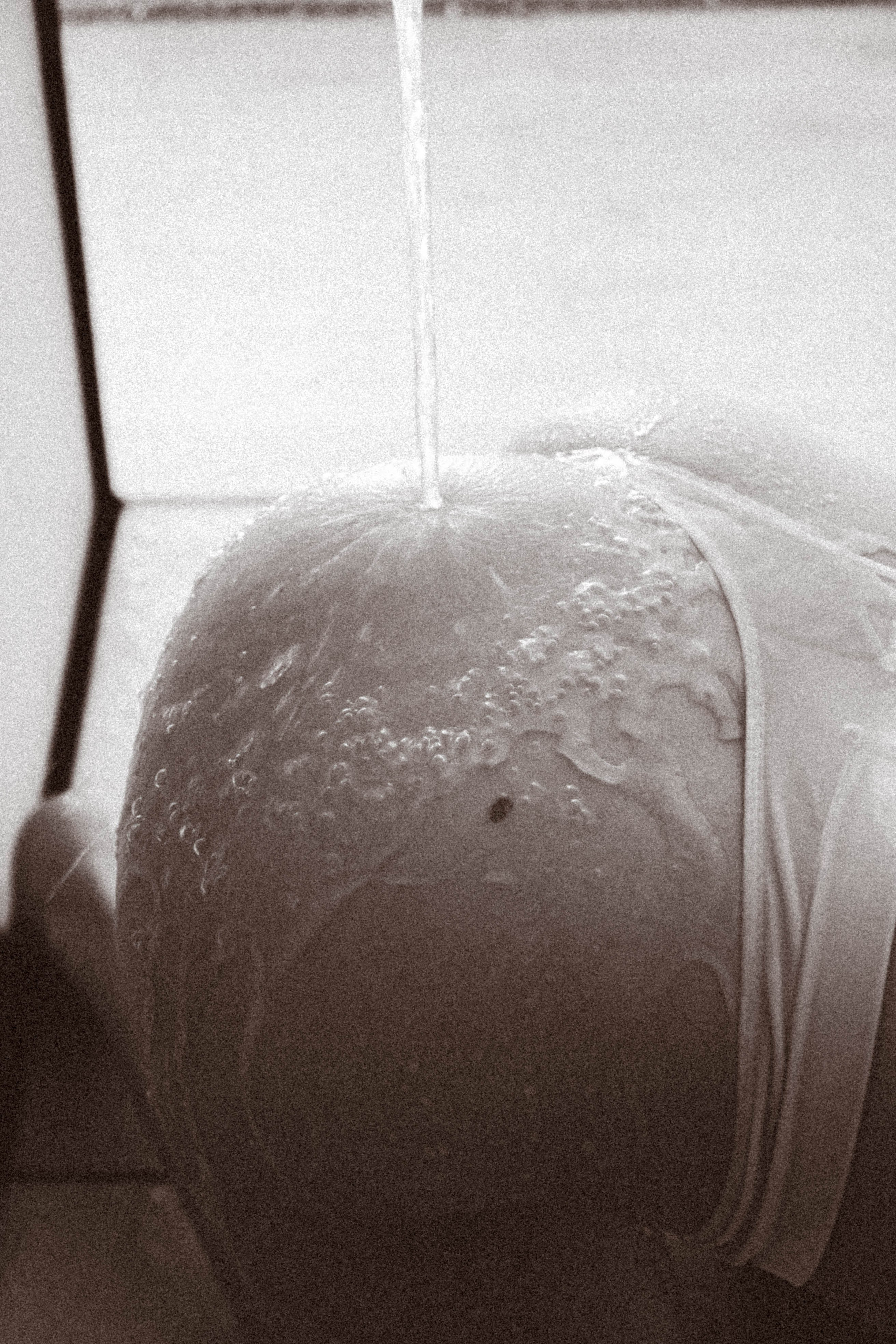 Студийная для Анастасии. Профессиональный фотограф, Санкт-Петербург — Виктория Богомолова