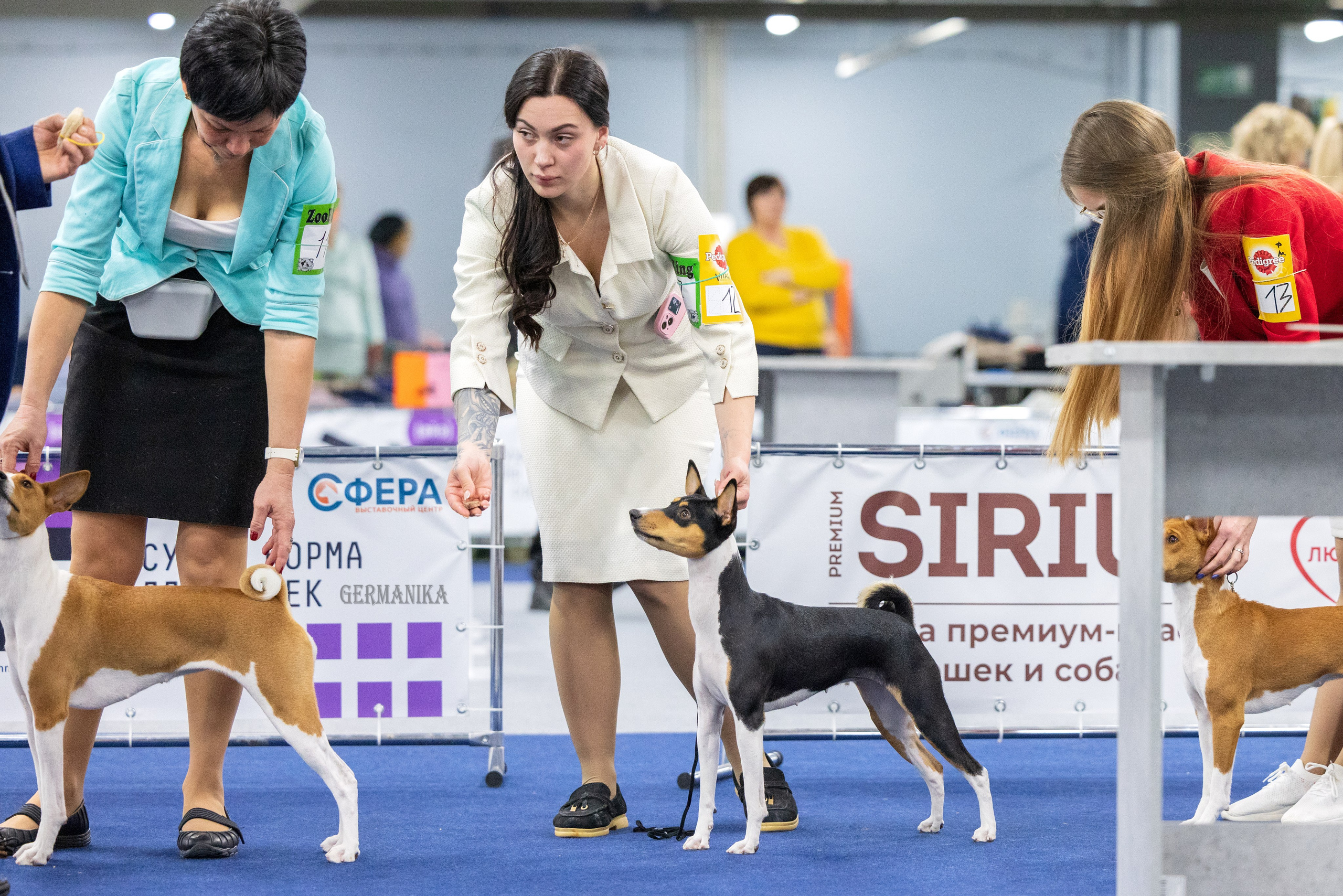 Крокус 10.02,Сфера 11.02.2024. Фотограф-анималист Юлия Германика