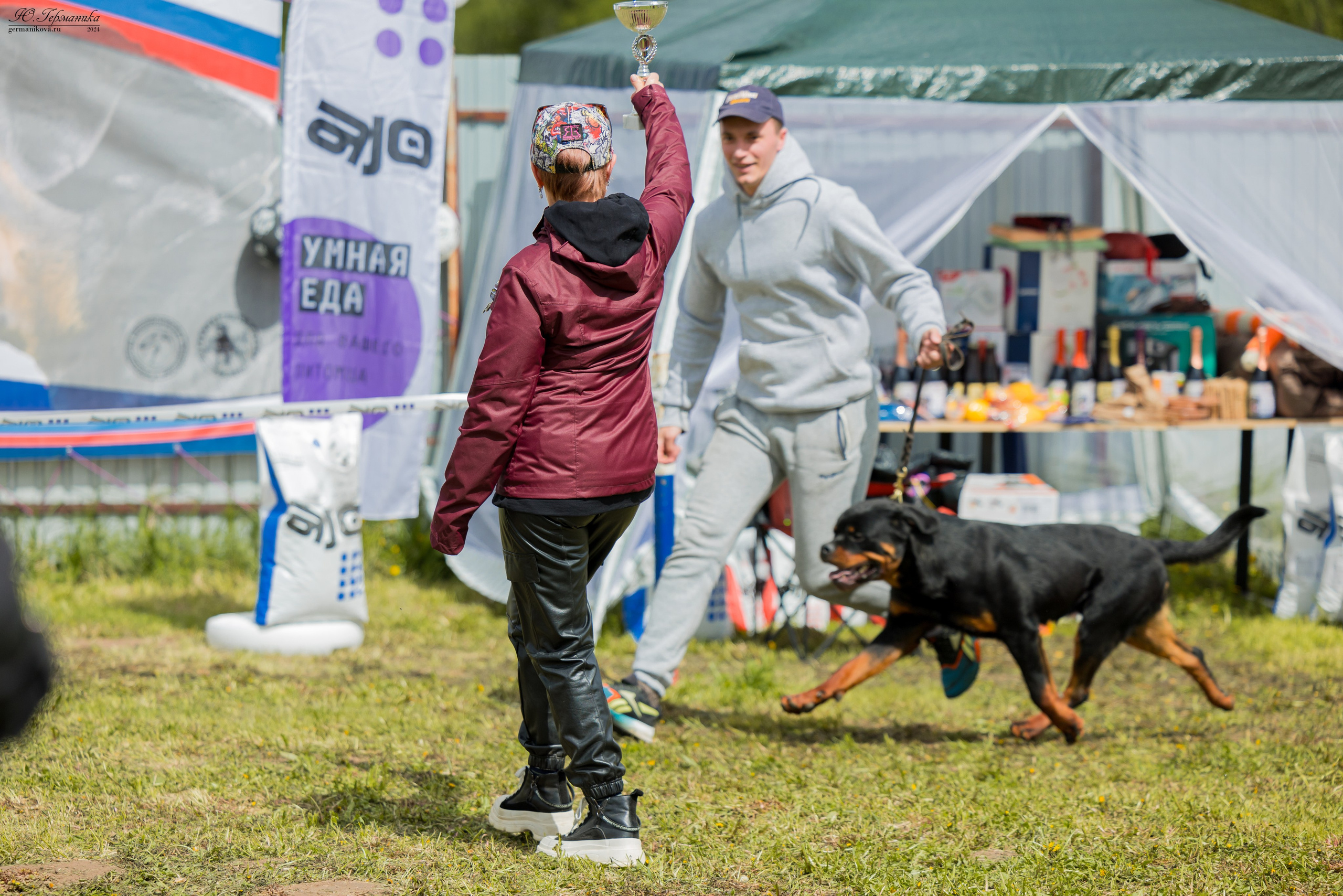 Нижний Новгород 11-12.05.2024 моно ротвейлеров. Фотограф-анималист Юлия Германика