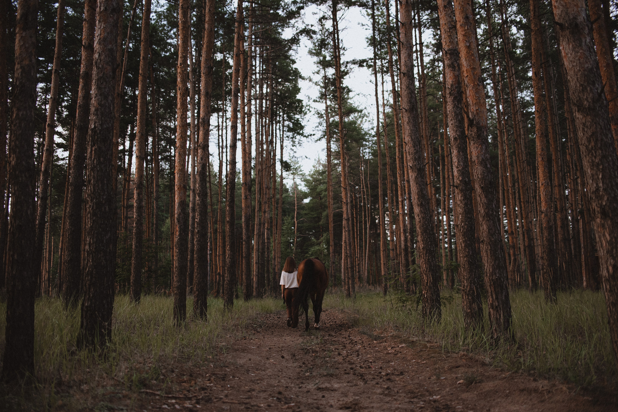 Таня и Гохрида. MariaGohri — Конный фотограф, анималист, Рязань
