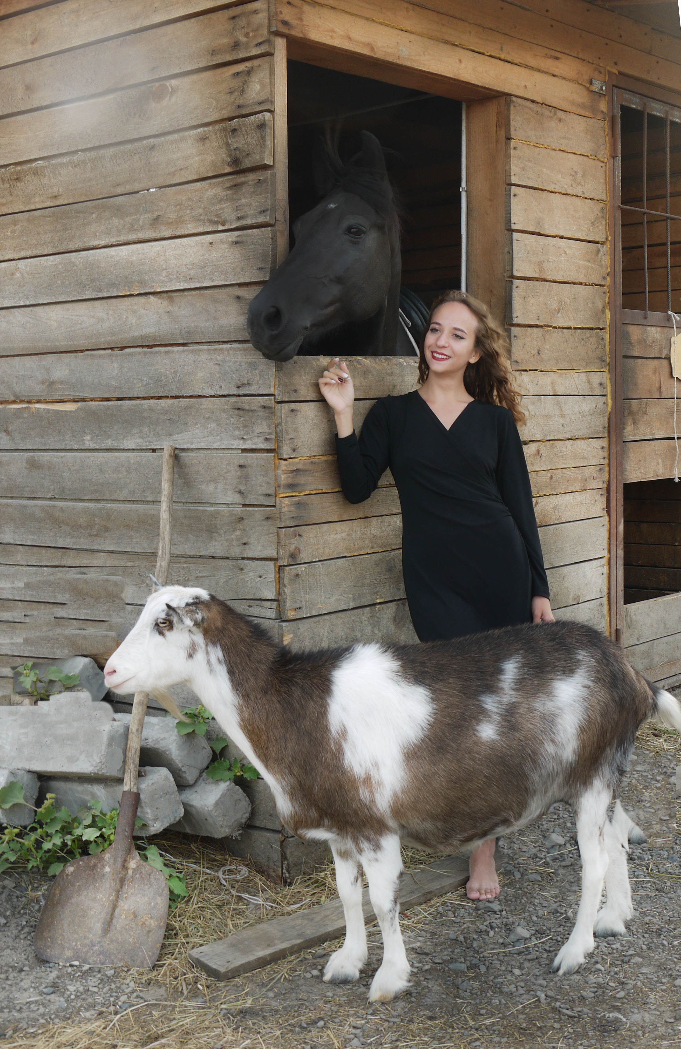 Конная прогулка. Фотограф Аксай Ростов-на-Дону