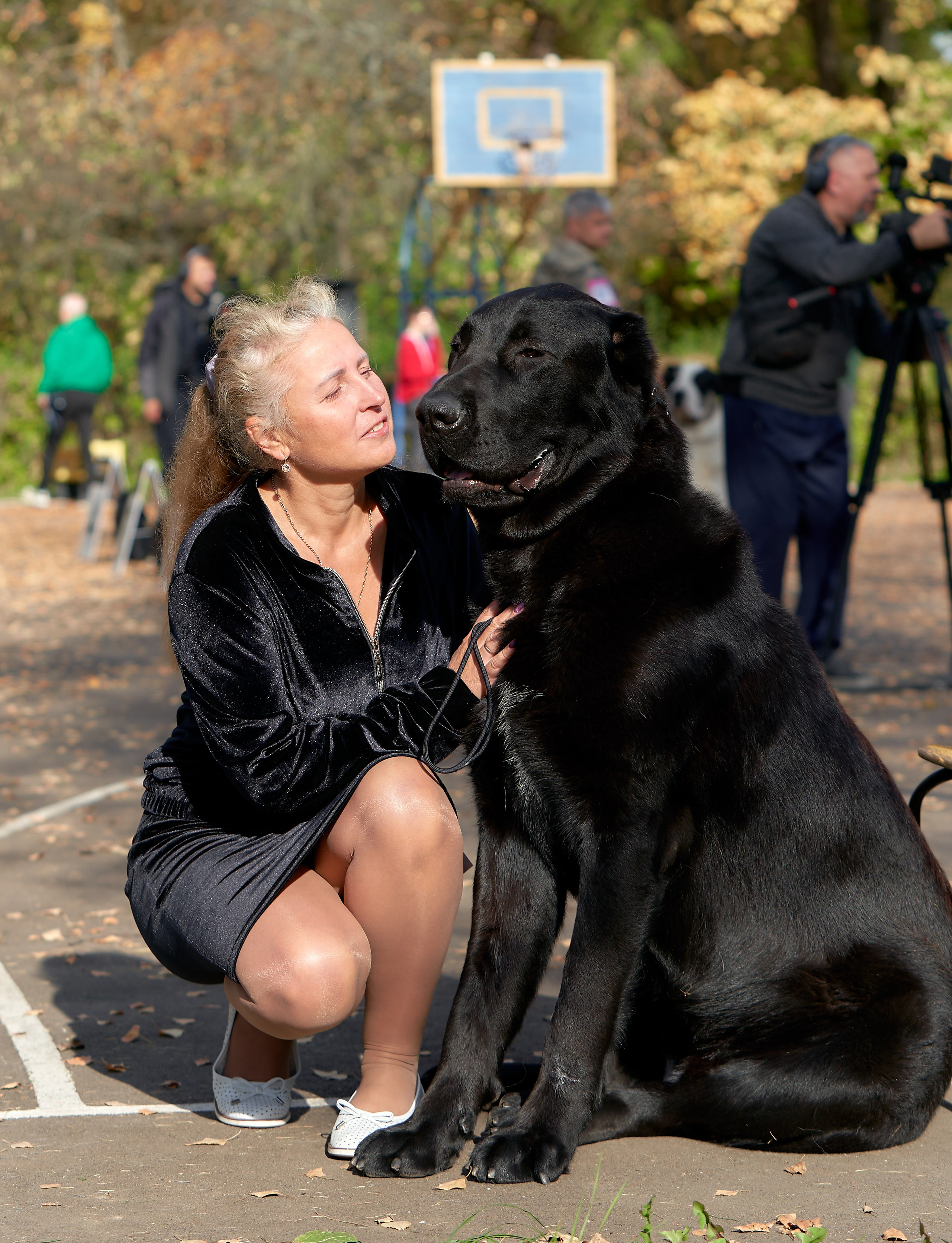 Собаки и Люди — галерея NATRIEL