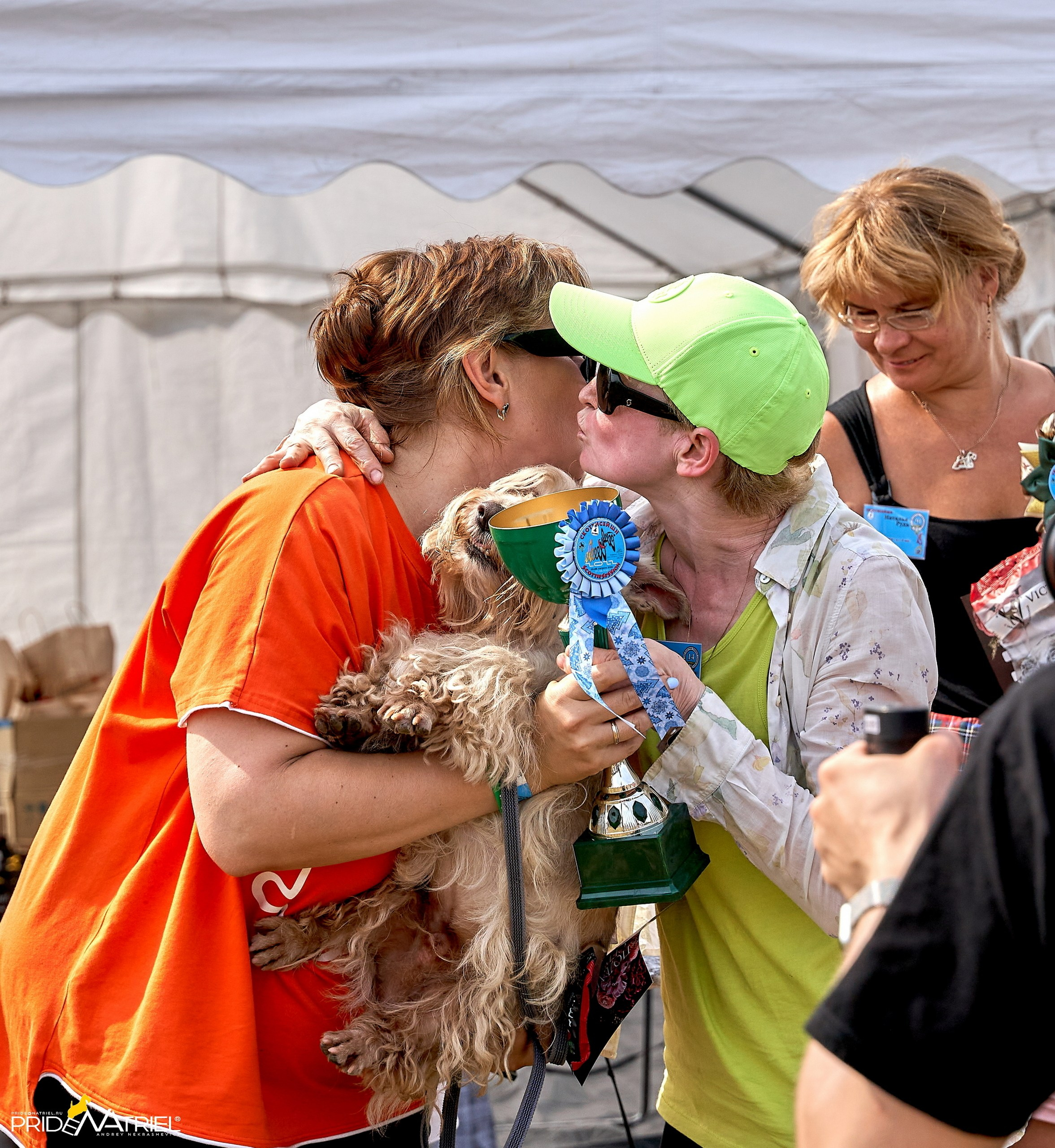 Мероприятия с собаками — галерея NATRIEL