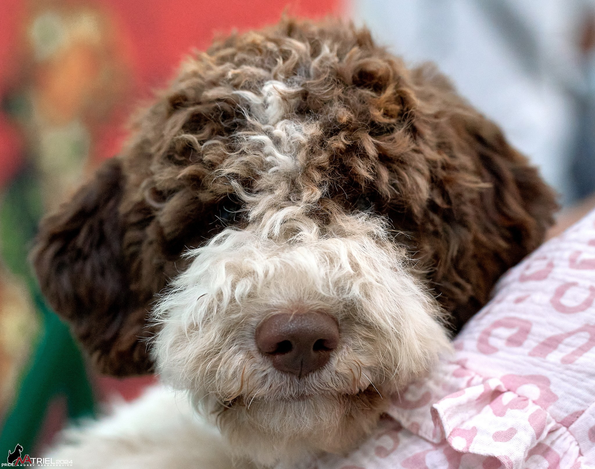 Съемка на выставке в Крокус