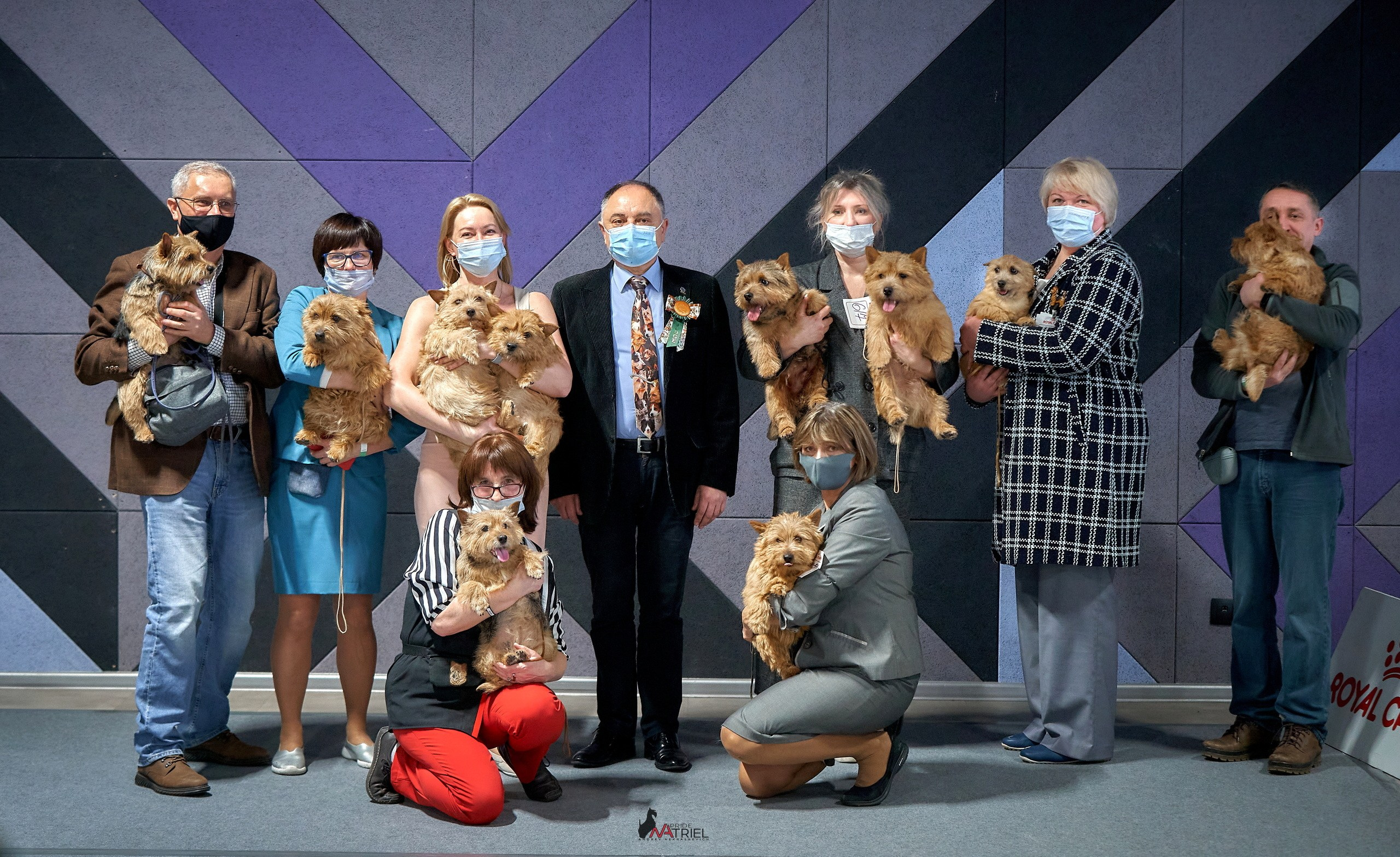 Призовые места — галерея NATRIEL