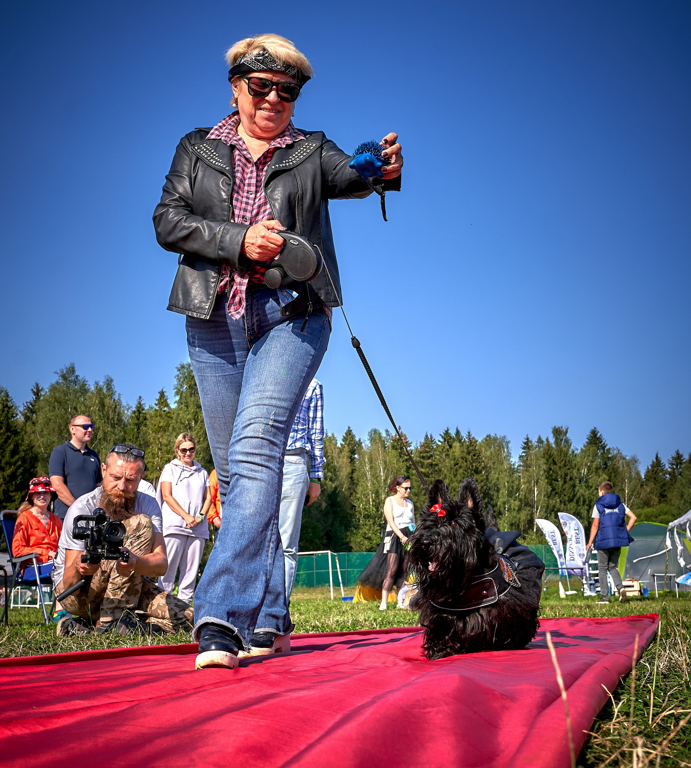 Мероприятия с собаками — галерея NATRIEL