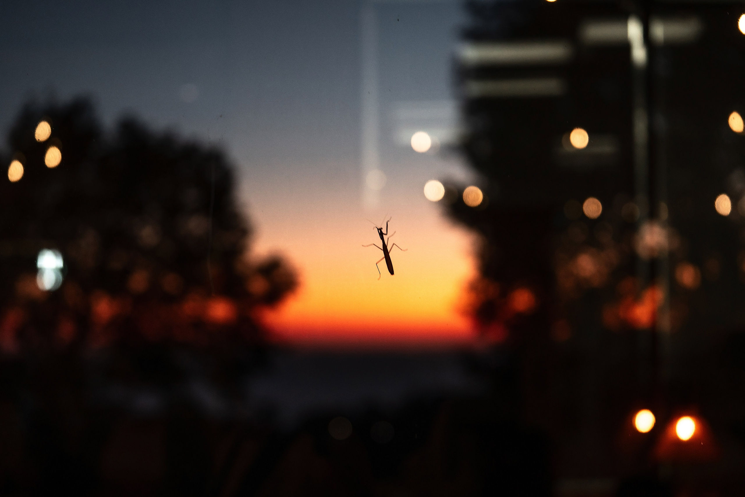 24.09.2025. Фотограф Сочи